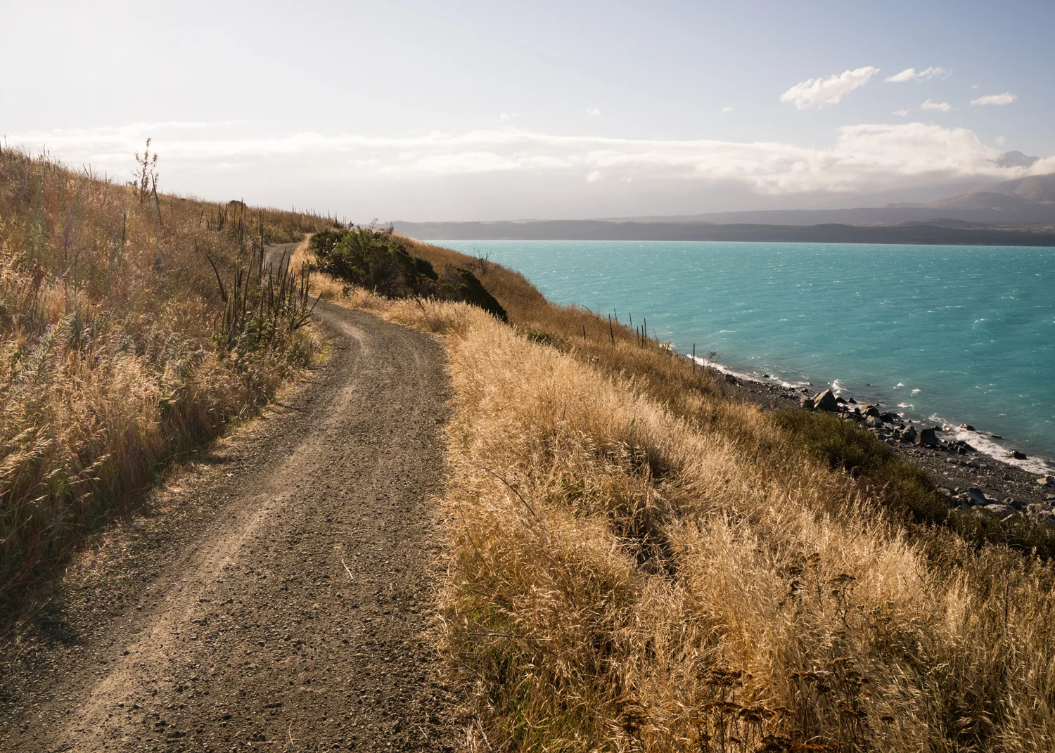 2016_Feb_NewZealand_0371.jpg