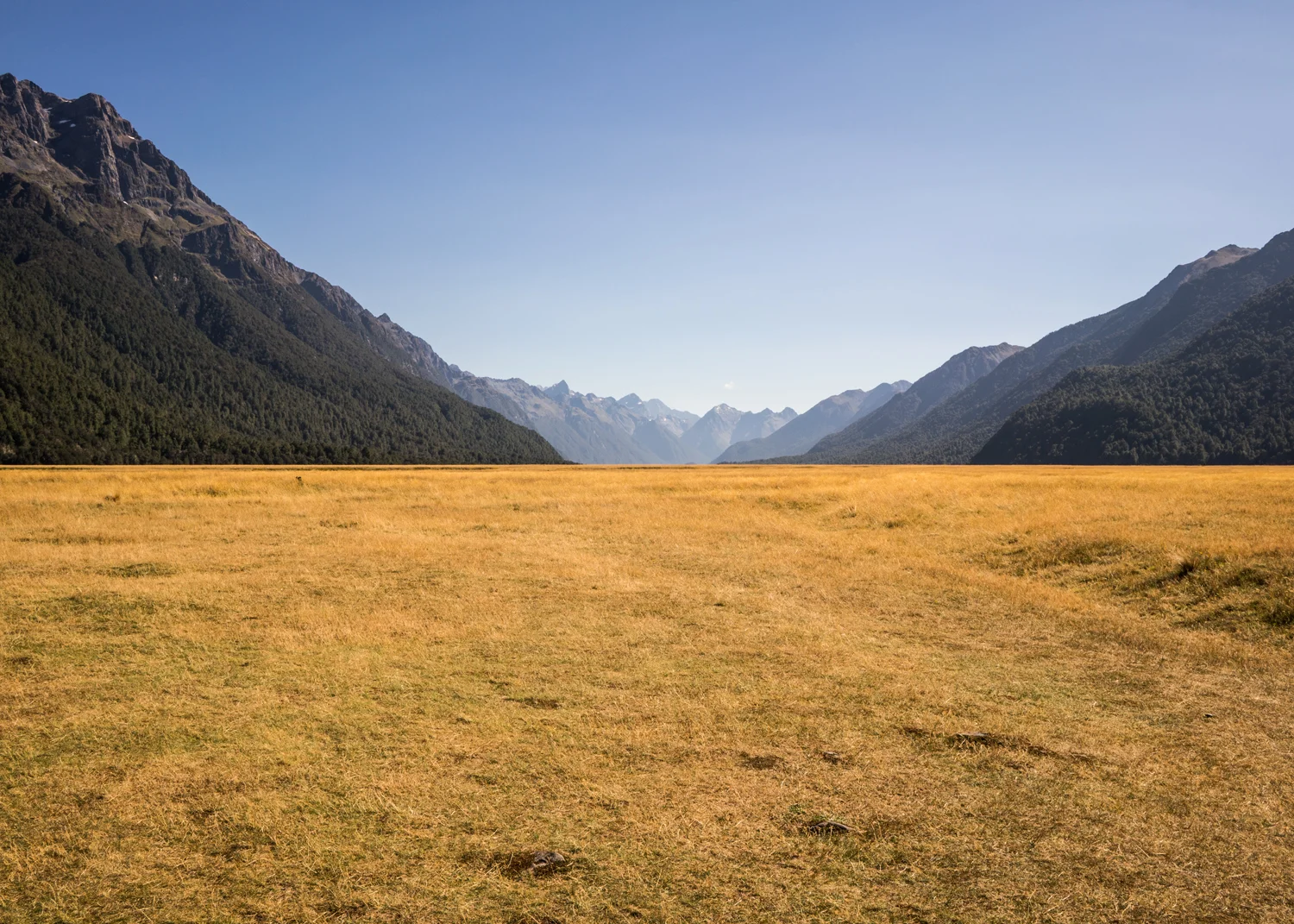 2016_Feb_NewZealand_0668.jpg