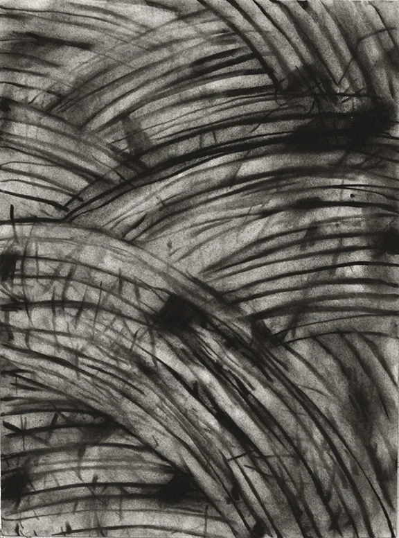 Untitled 14.05 2014 Charcoal on Paper 12” x 9” 