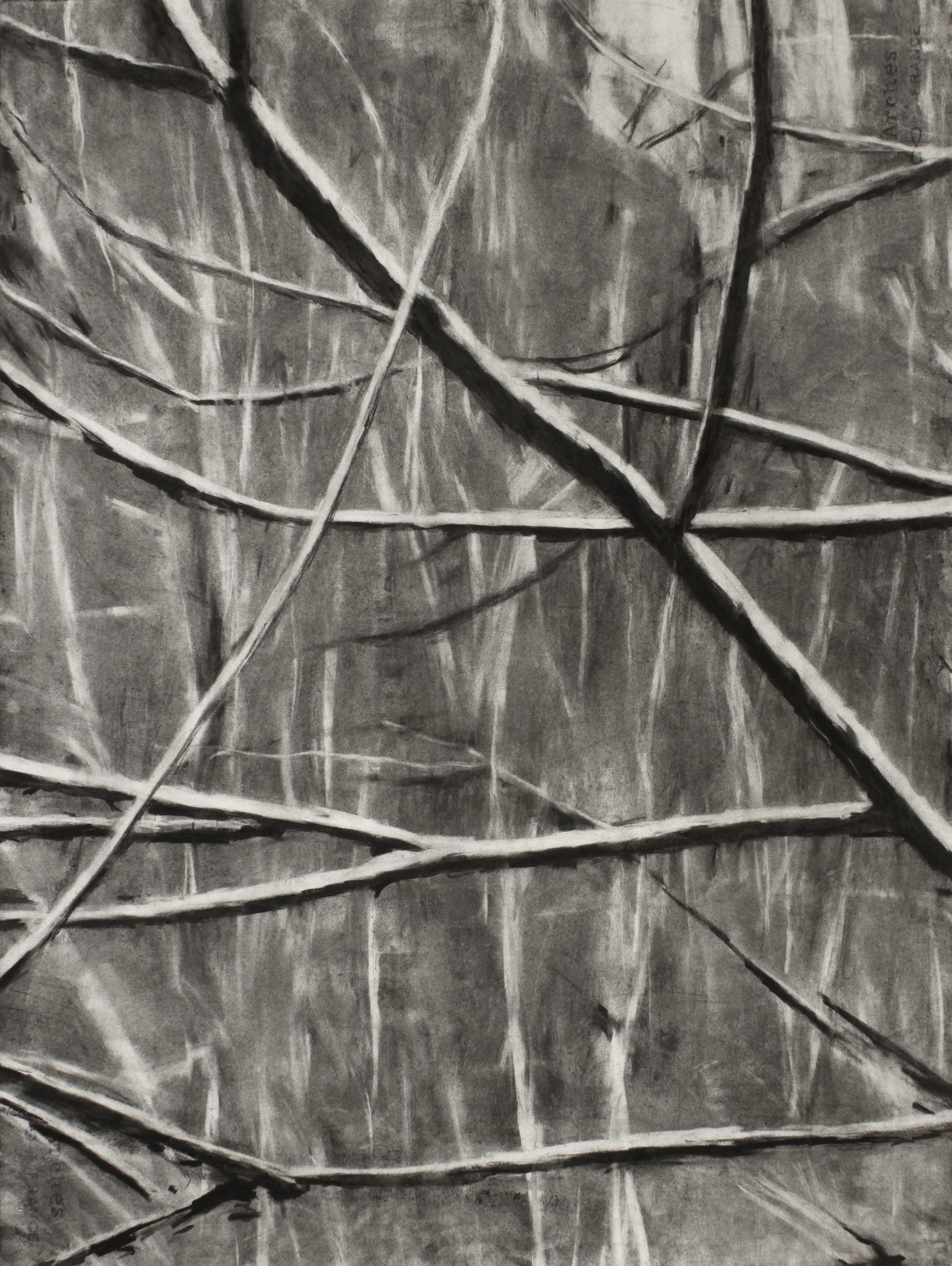   Boundary       2022  Charcoal on Paper      30” x  22”   