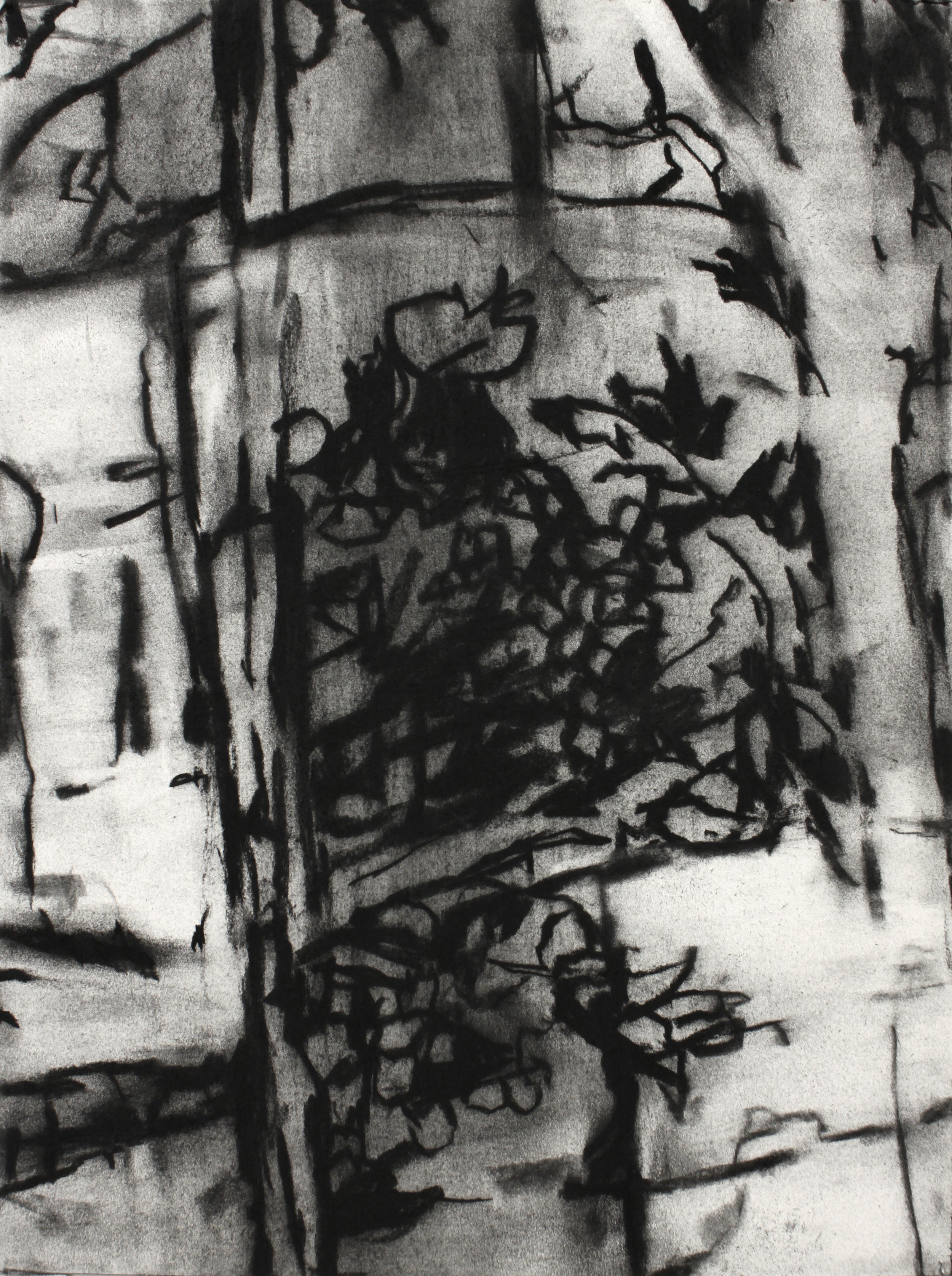   Untitled 22.5      2022  Charcoal on Paper     12” x 9”   