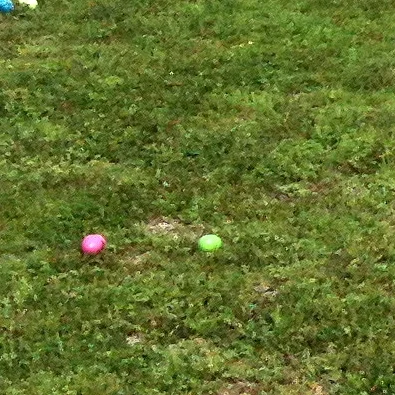 Indian Springs Apartment Complex Easter Egg Hunt