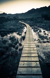 Finding Our Path, Our Voice