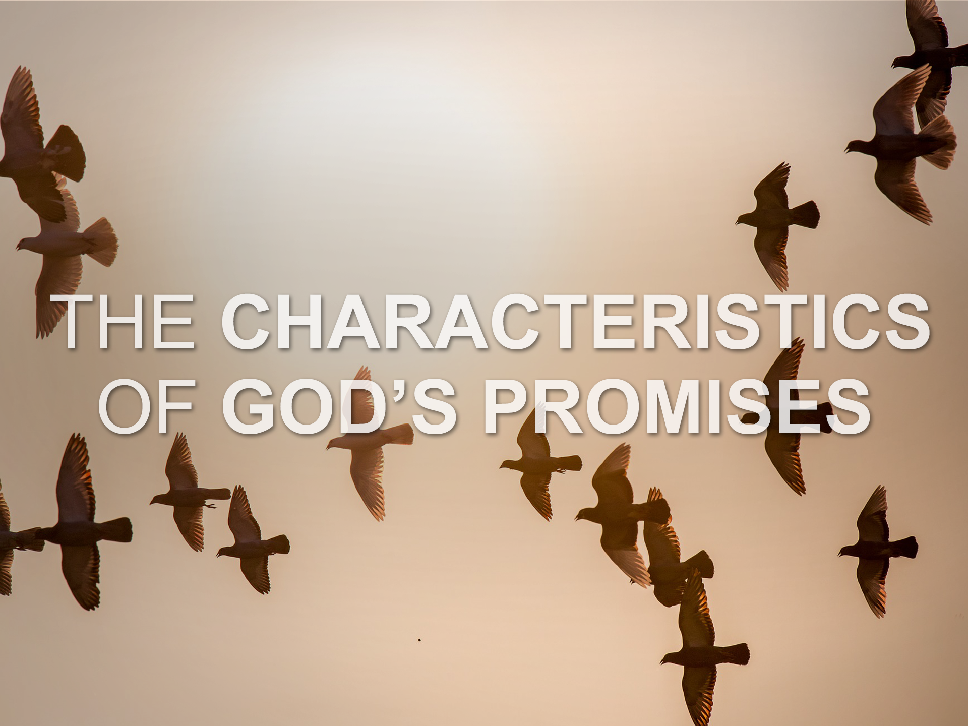 20170910 The Characteristics of Gods Promises.png