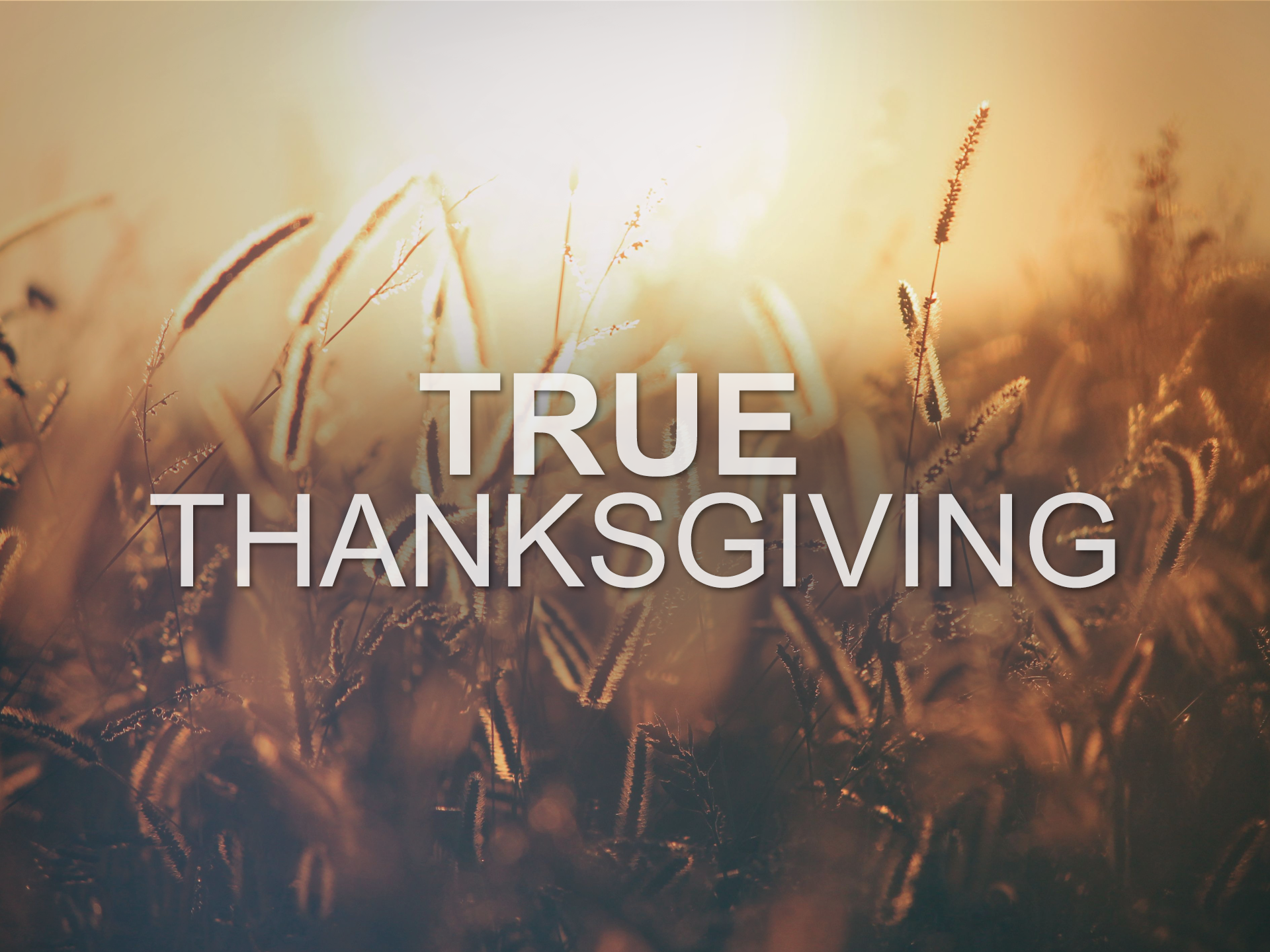 20171119 True Thanksgiving.png