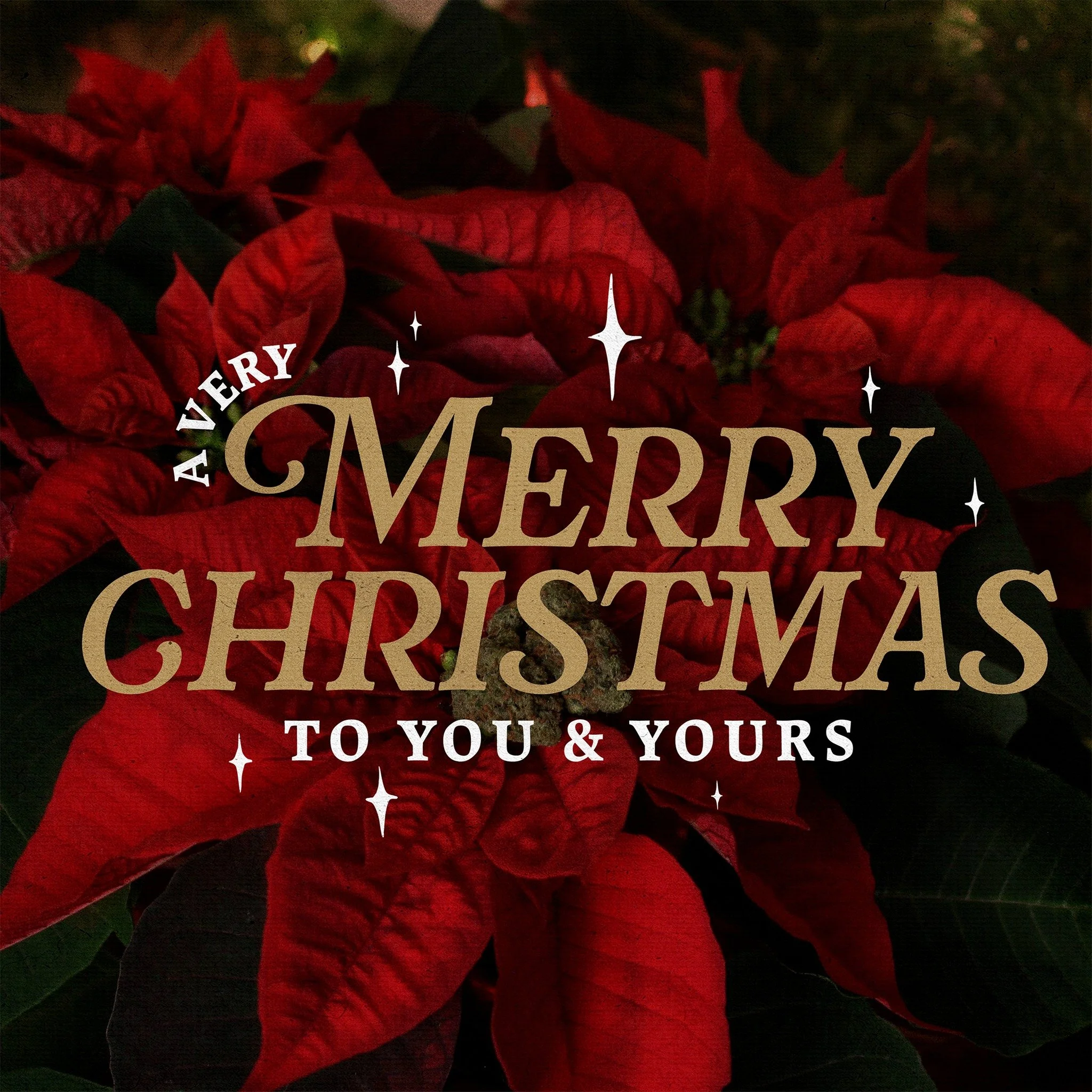 Merry Christmas! We pray that today brings you joy, peace, and hope. May God's love fill your hearts and homes during this special time. Wishing you a blessed Christmas surrounded by family and friends!