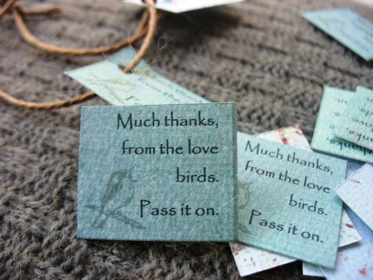 bird cards.jpg