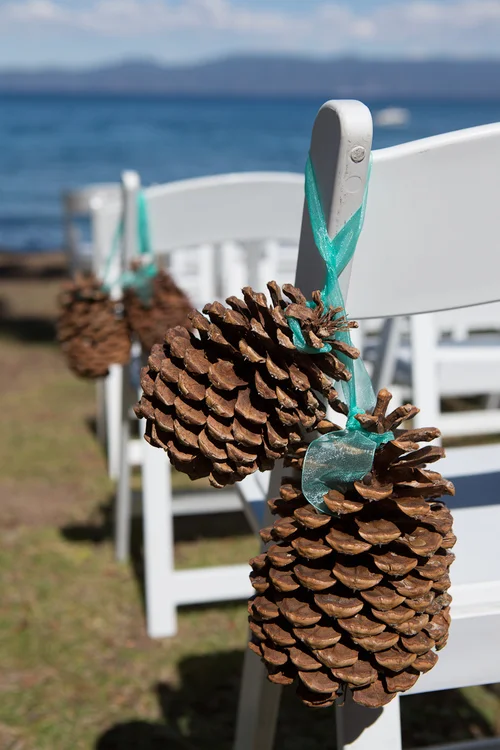 chair pinecones.jpg