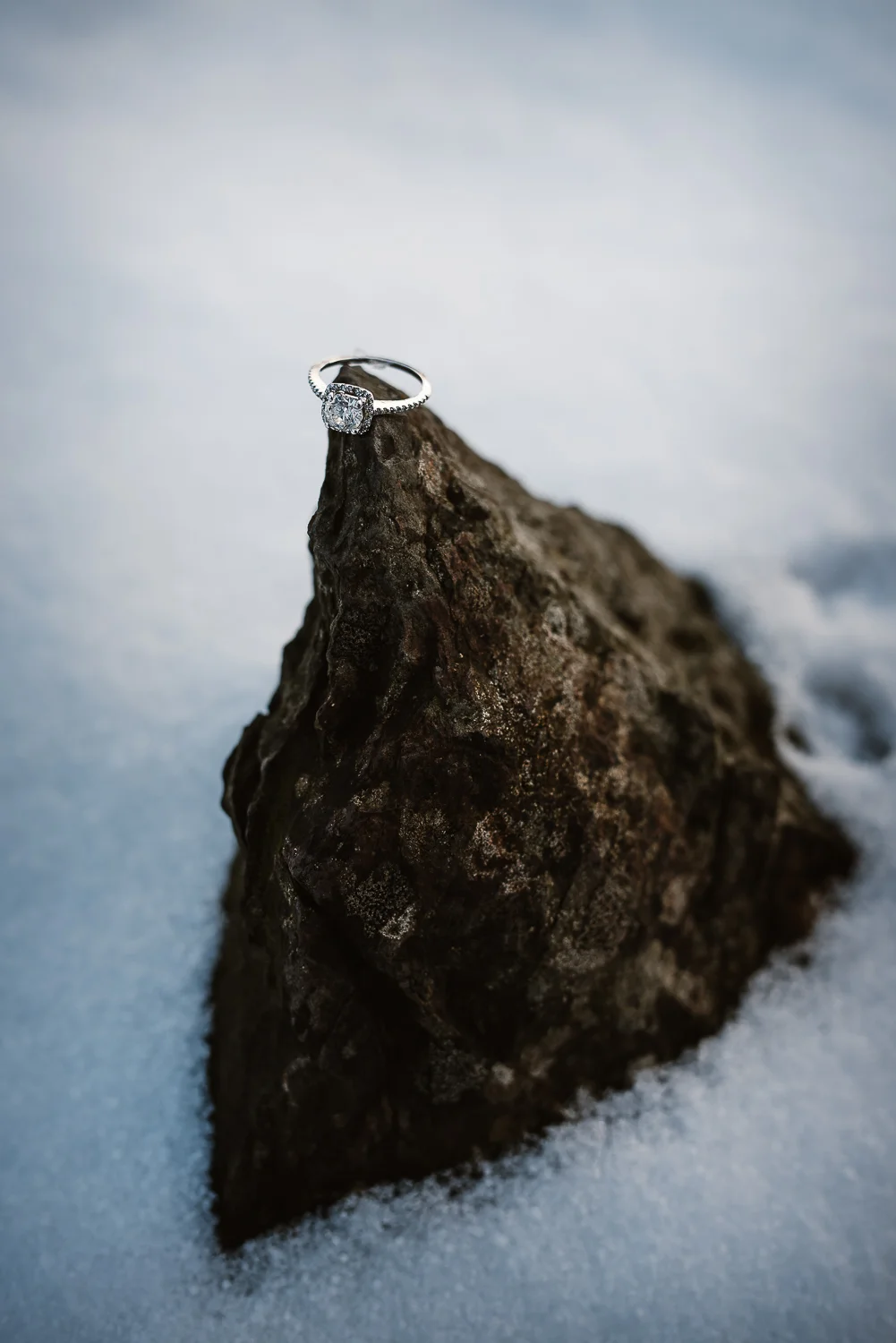 engagements-4056.jpg