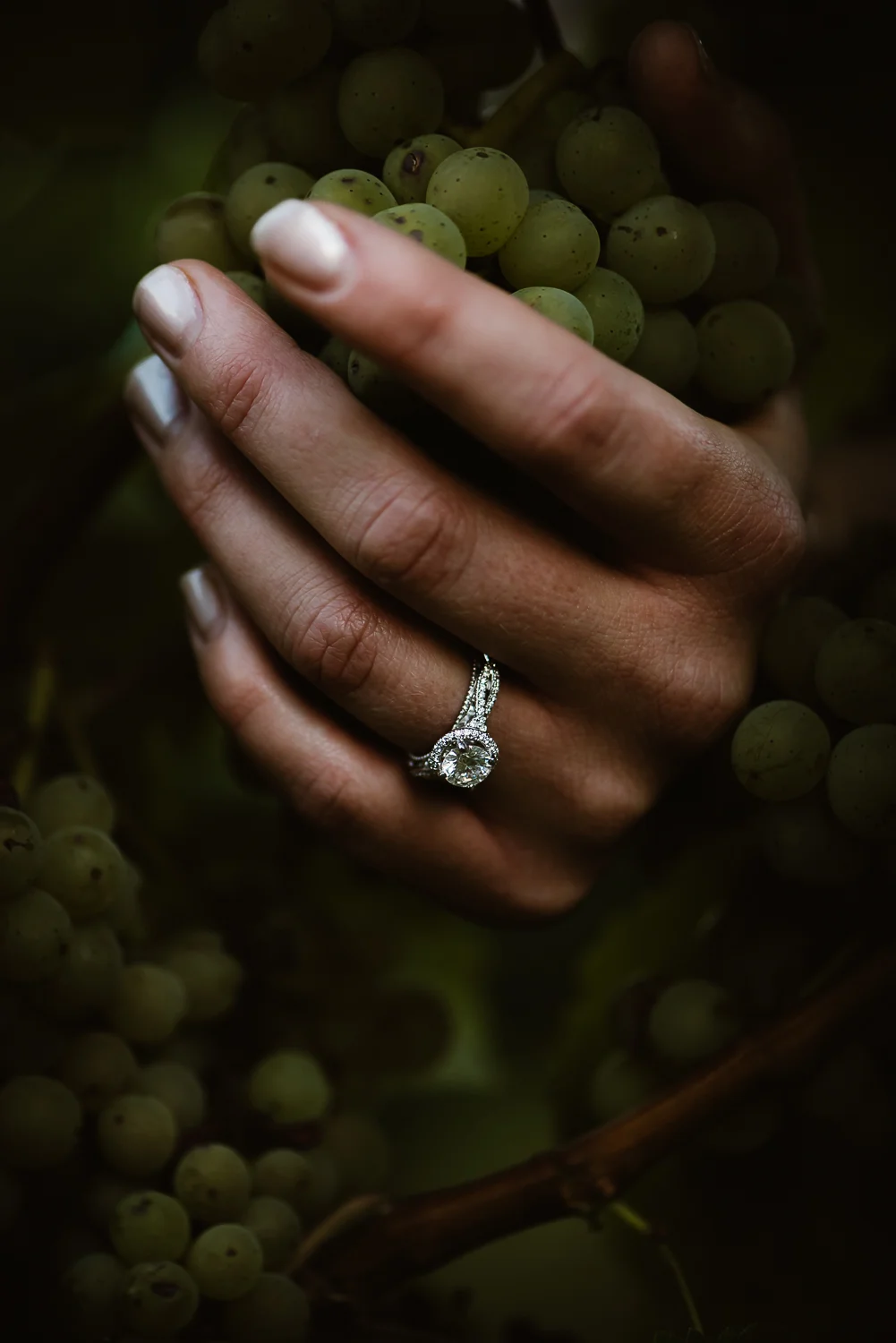 engagements-9361.jpg