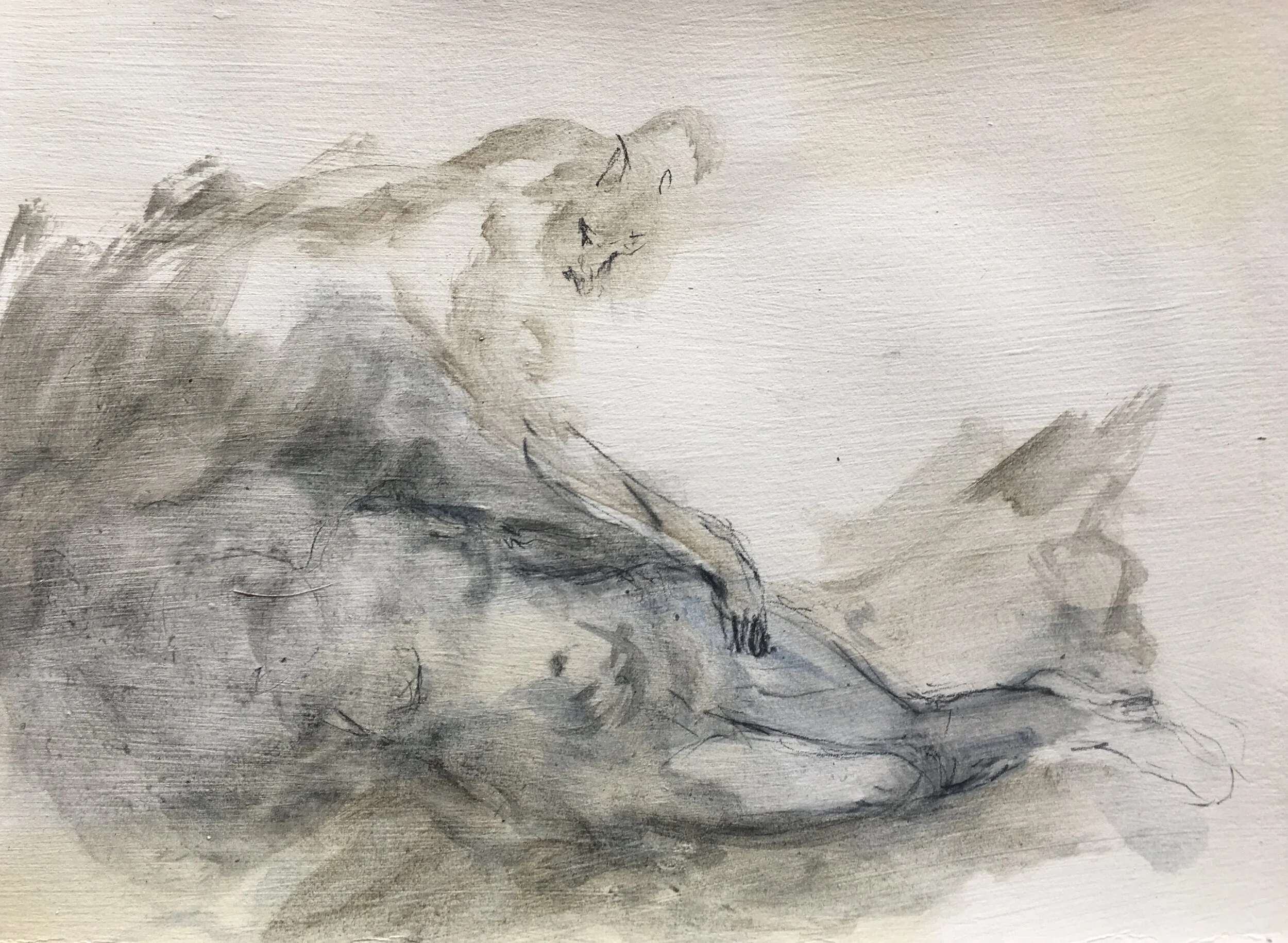 10_A Different Kind Of Care.JPG