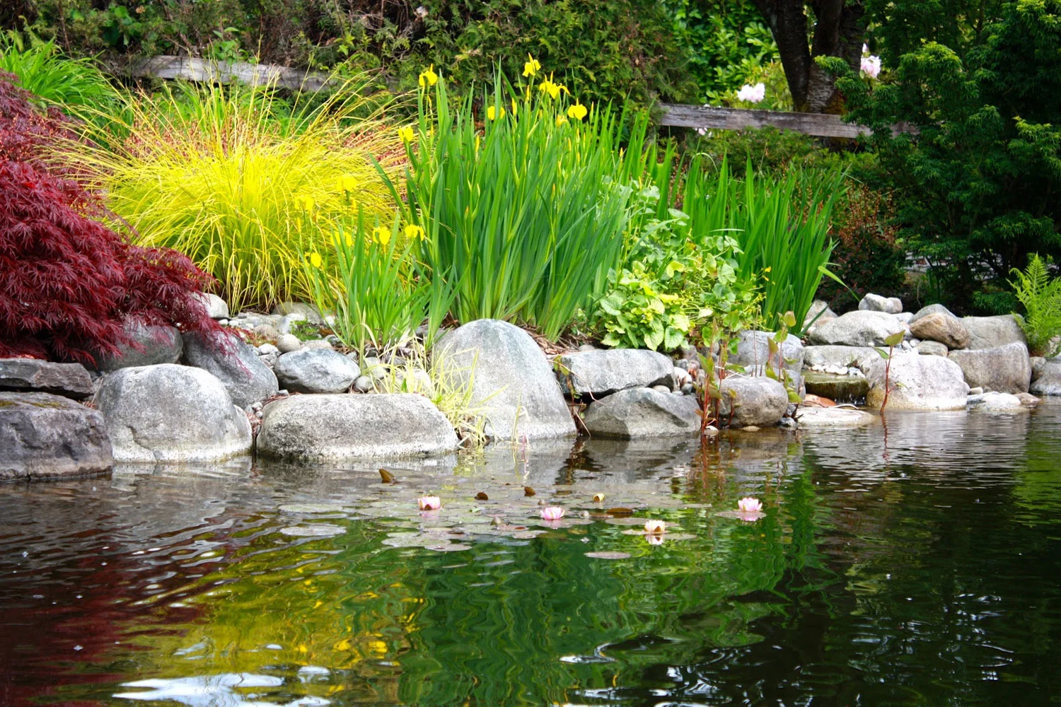 pond-garden.jpg
