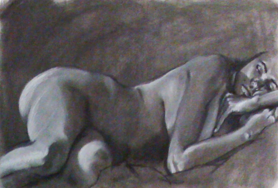 Charcoal, 2009-2013