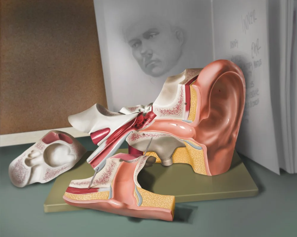 Still_Life_Ear_Canal.jpg