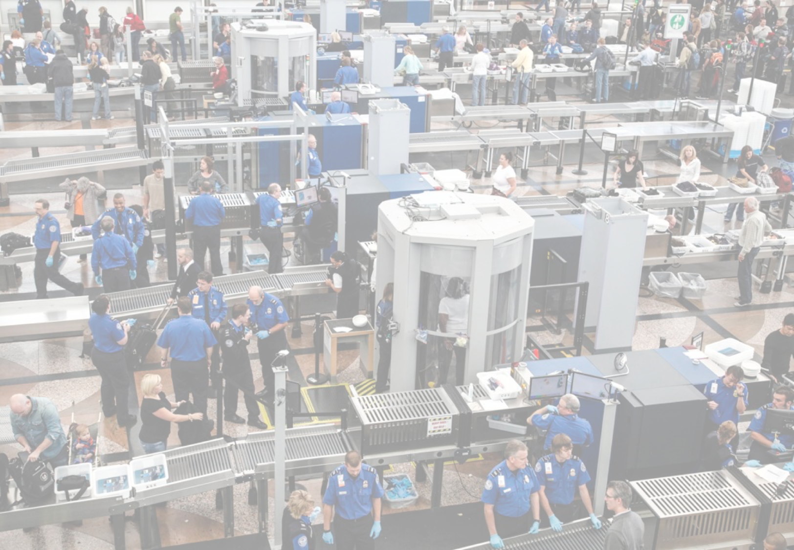 lily liu-tsa 1.png