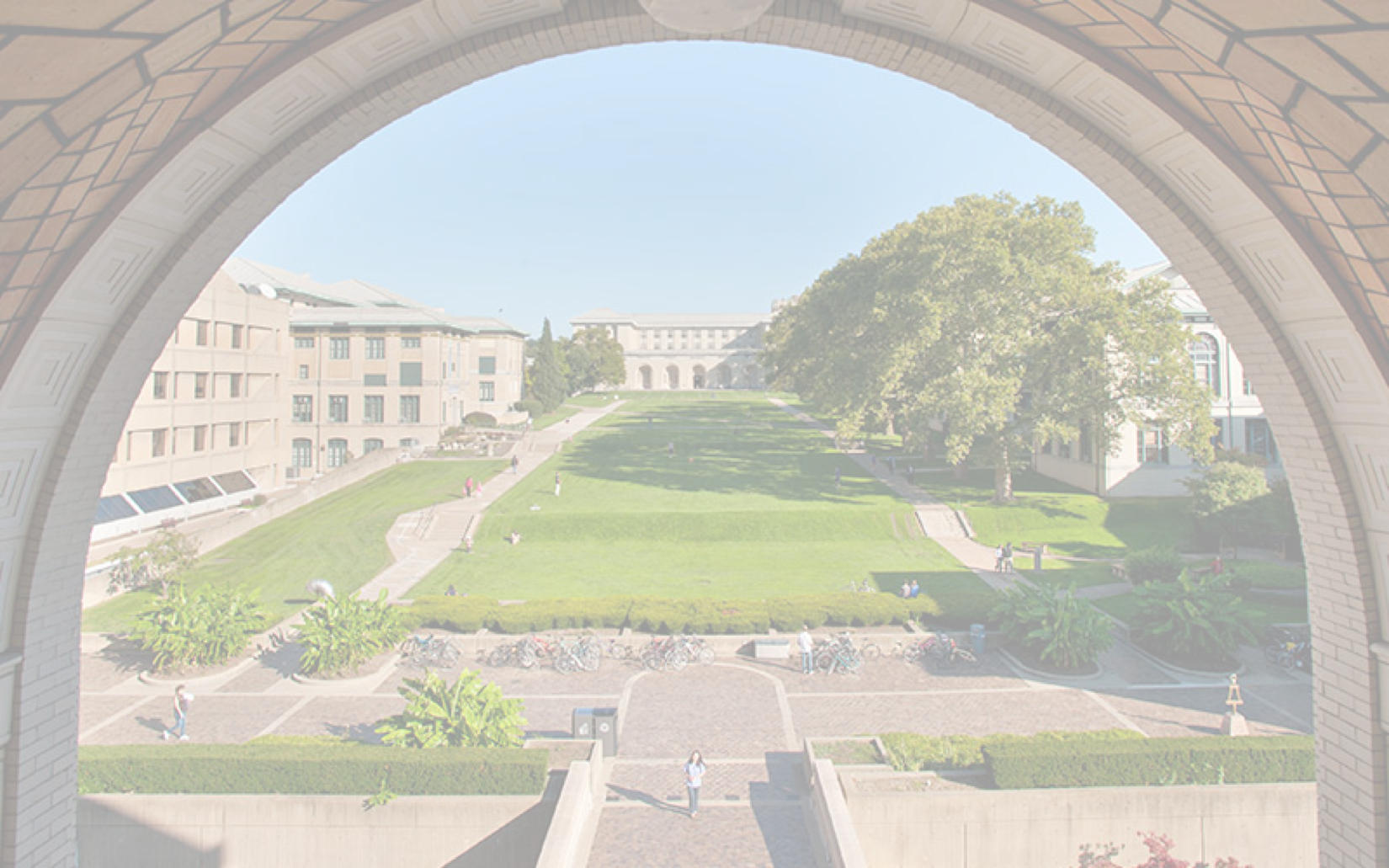 lily liu-cmu.png