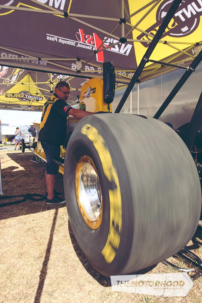 IMG_1393 (1667x2500).jpg