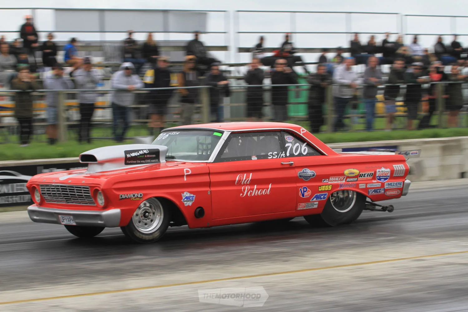 IMG_0133 (2500x1667).jpg