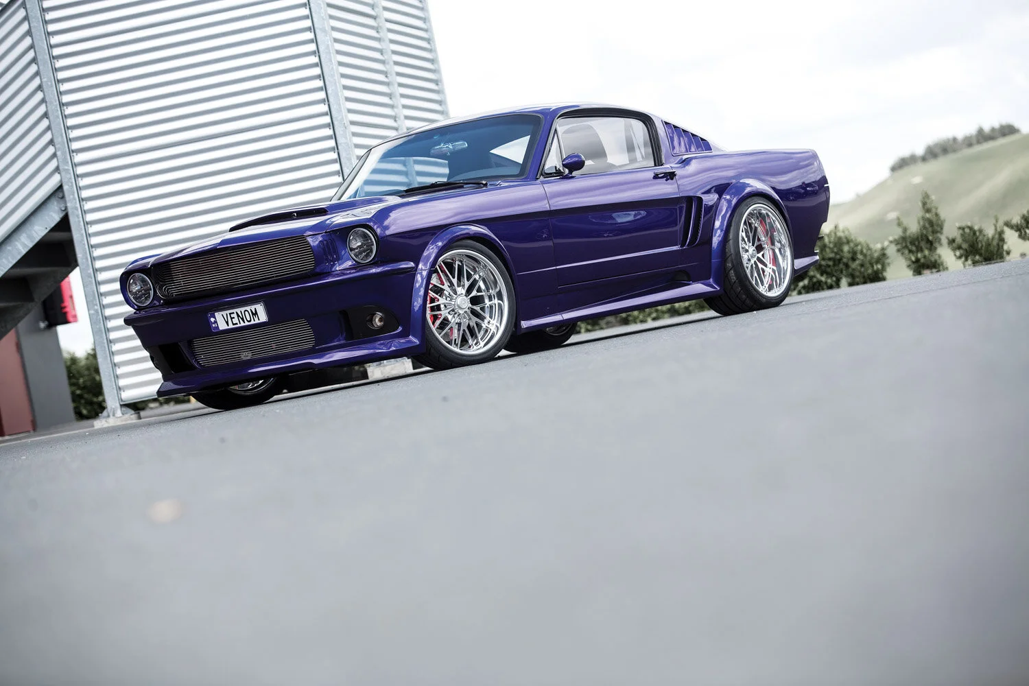 Serious Bite: Igor Sutich's custom Matamata Panelworks '65 Mustang