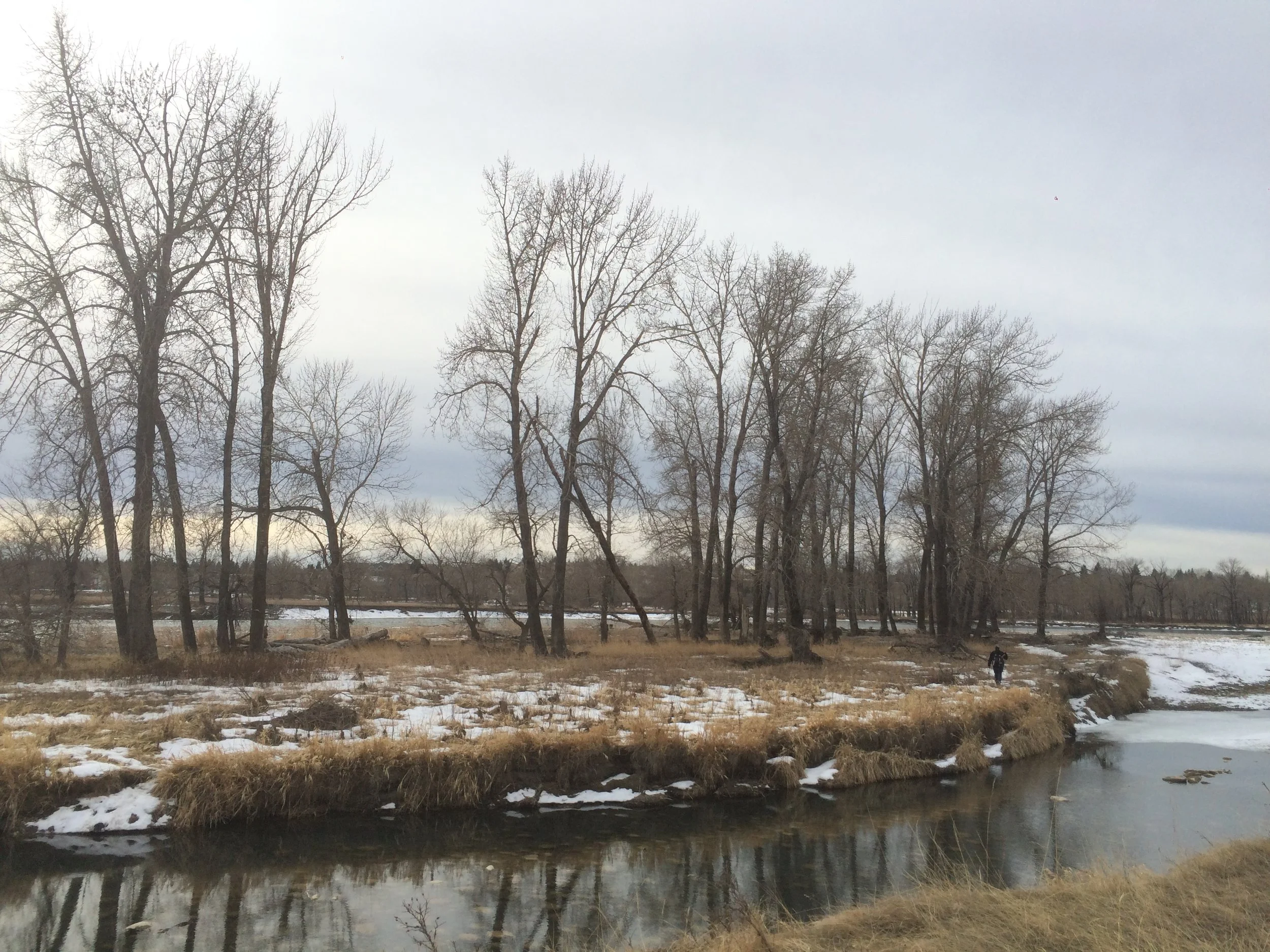 Douglasdale Park Riverpark Stablization