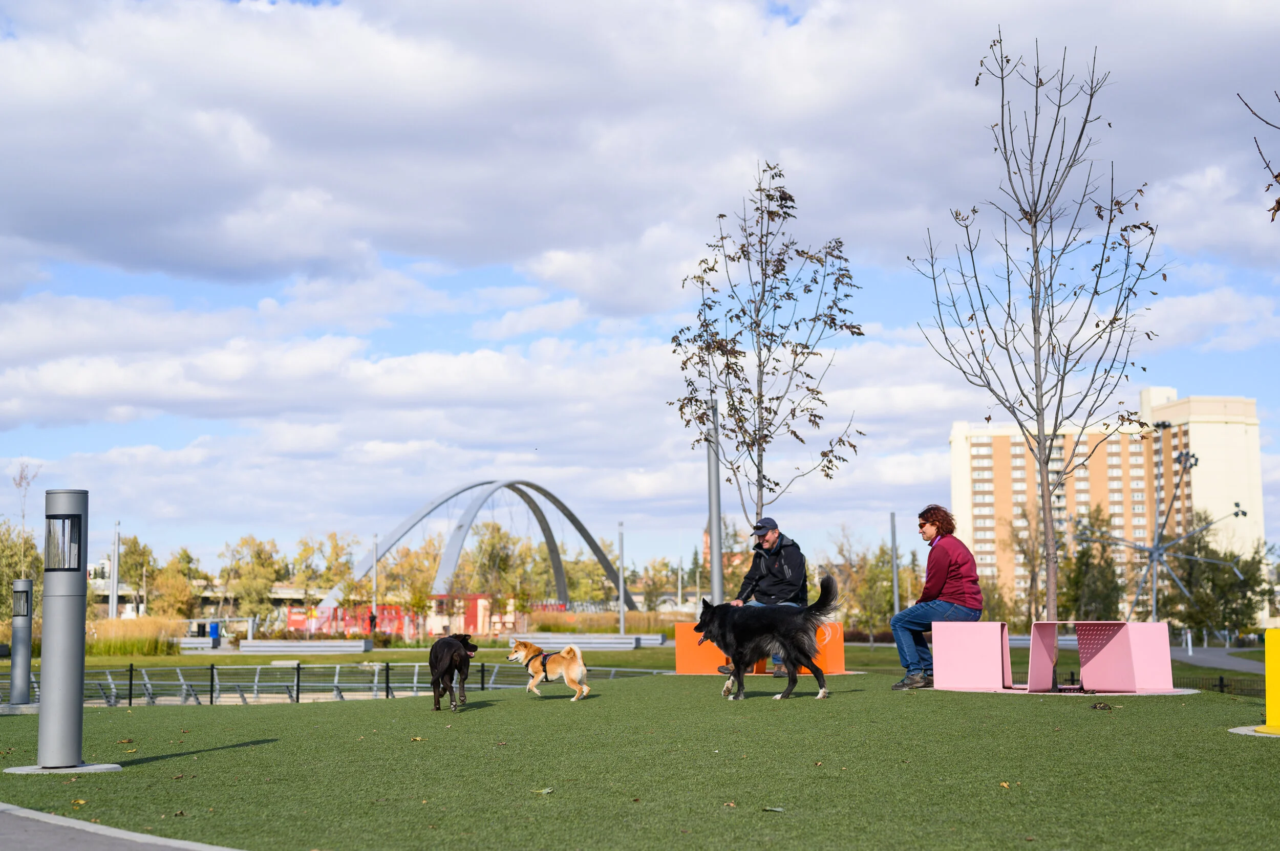 Downtown Off-Leash Dog Area Study