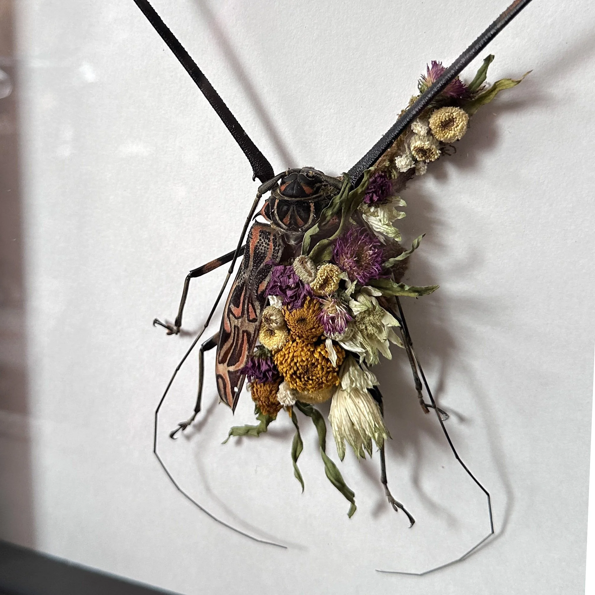 FloralHarelquinFrame2.jpg