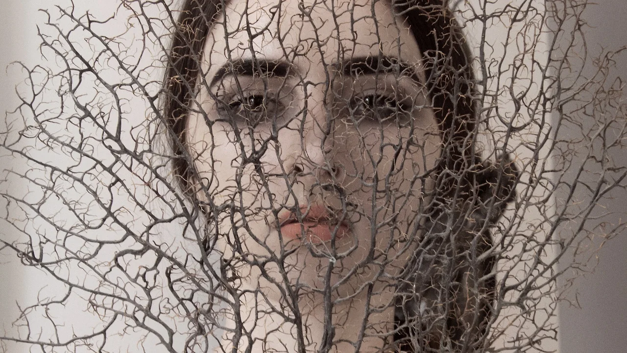 SEA FAN VIA ORACLE , SELF-PORTRAIT, PH. LAUREN THURMAN-KING, 2014