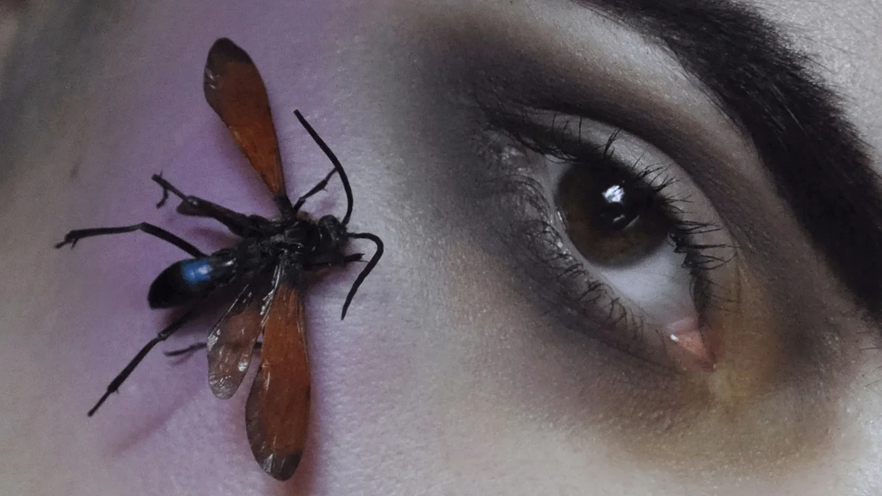 TARANTULA HAWK VIA ORACLE , SELF-PORTRAIT, PH. LAUREN THURMAN-KING, 2014