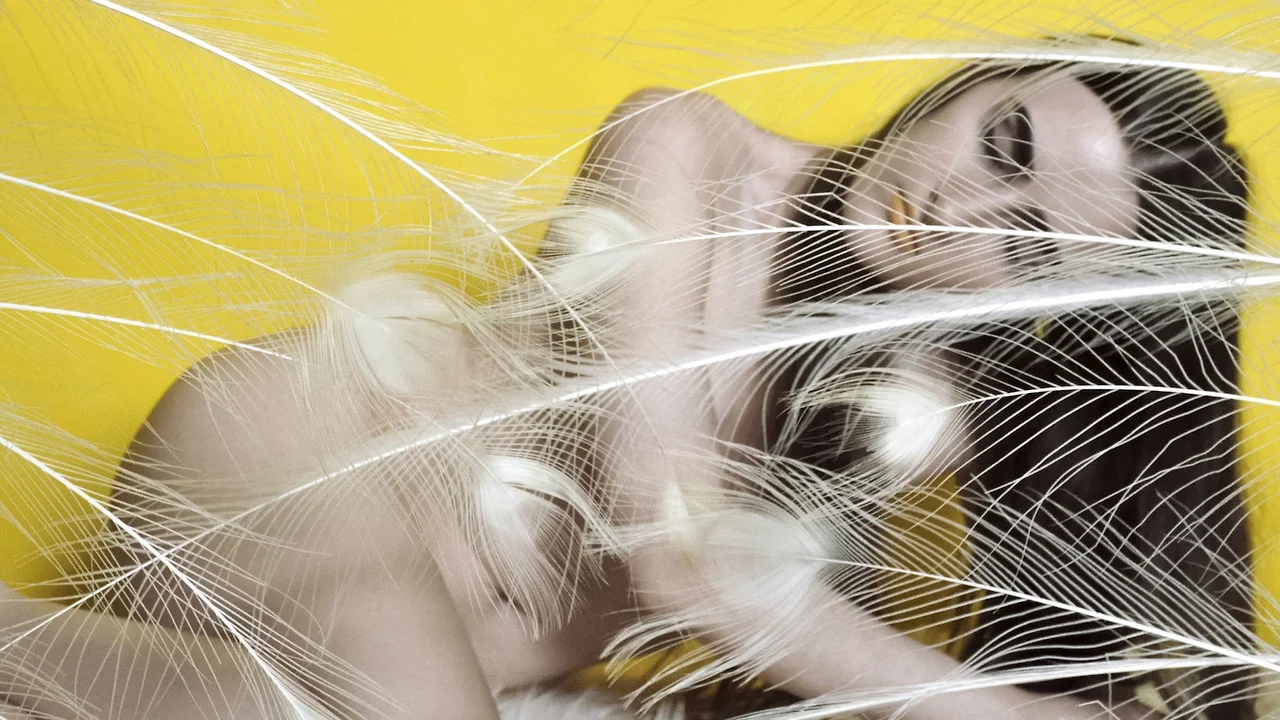 PEACOCK FEATHERS VIA ORACLE , SELF-PORTRAIT, PH. LAUREN THURMAN-KING, 2014