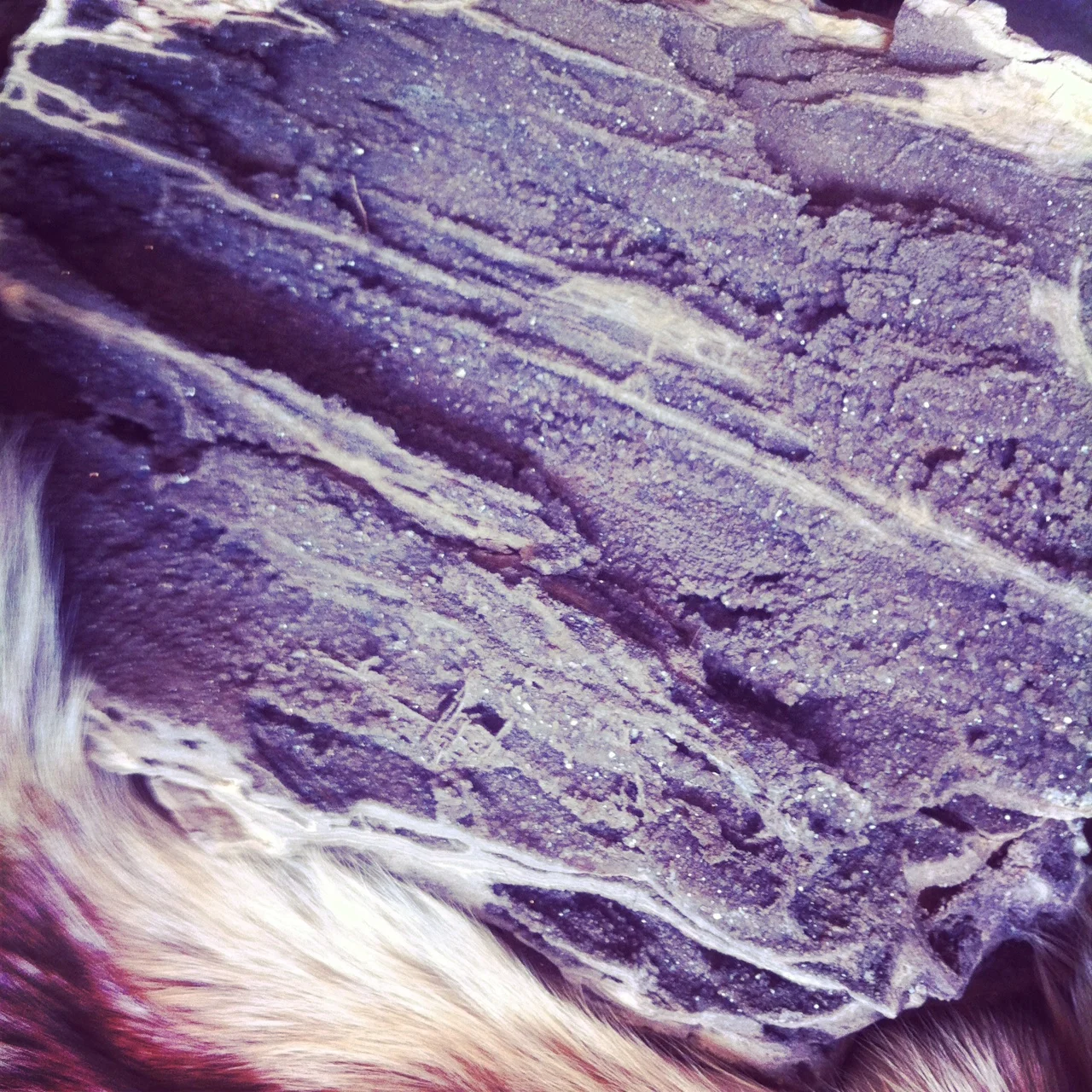 Petrified wood with druzy quartz crystal - GORGEOUS! And heavy!