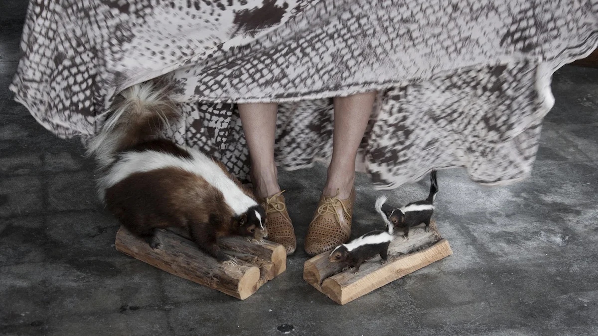 skunkfamily.jpg