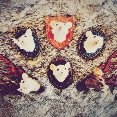 OracleKC.TinyMiceTaxidermy.jpg