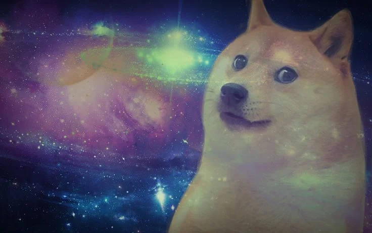 OracleKC.doges.jpg