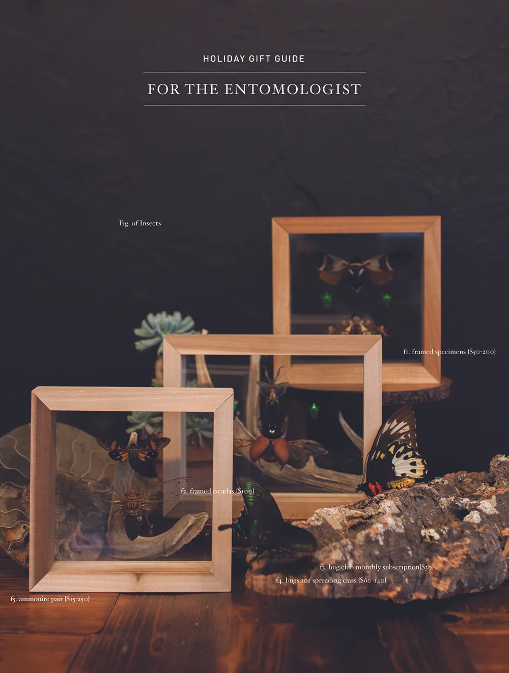 entomologist.jpg