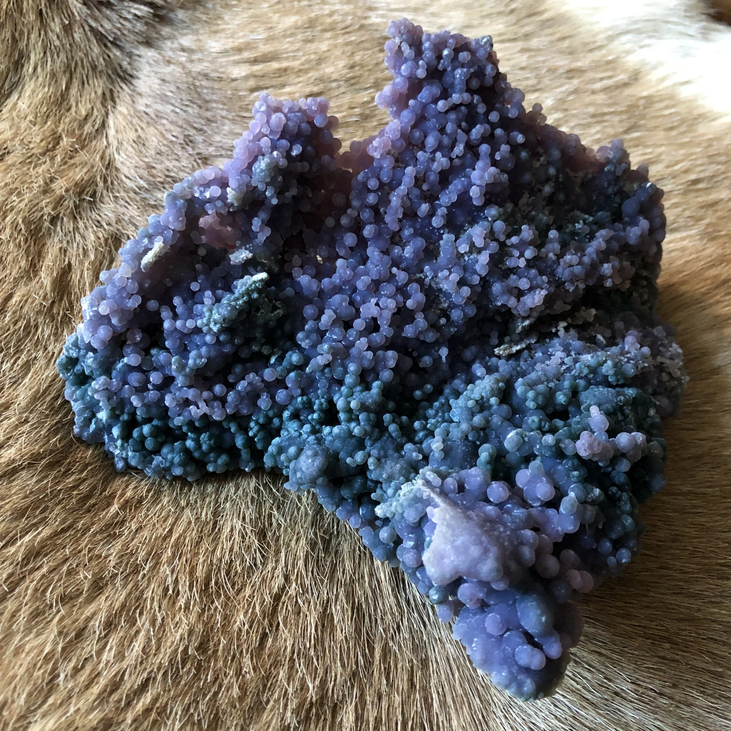 Home & Living Rocks & Geodes Grape Agate Clusters Home Décor etna.com.pe