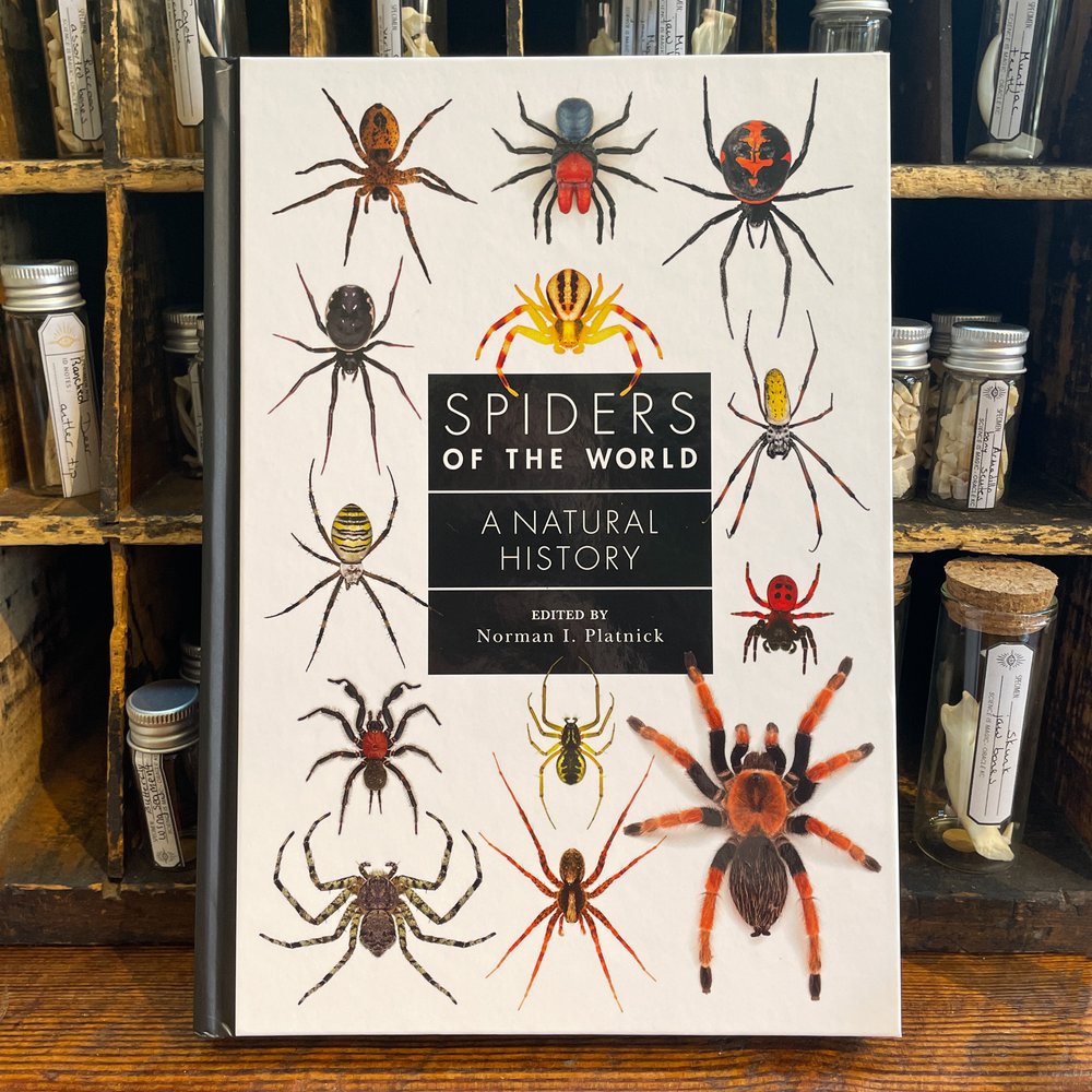 Spiders of the World