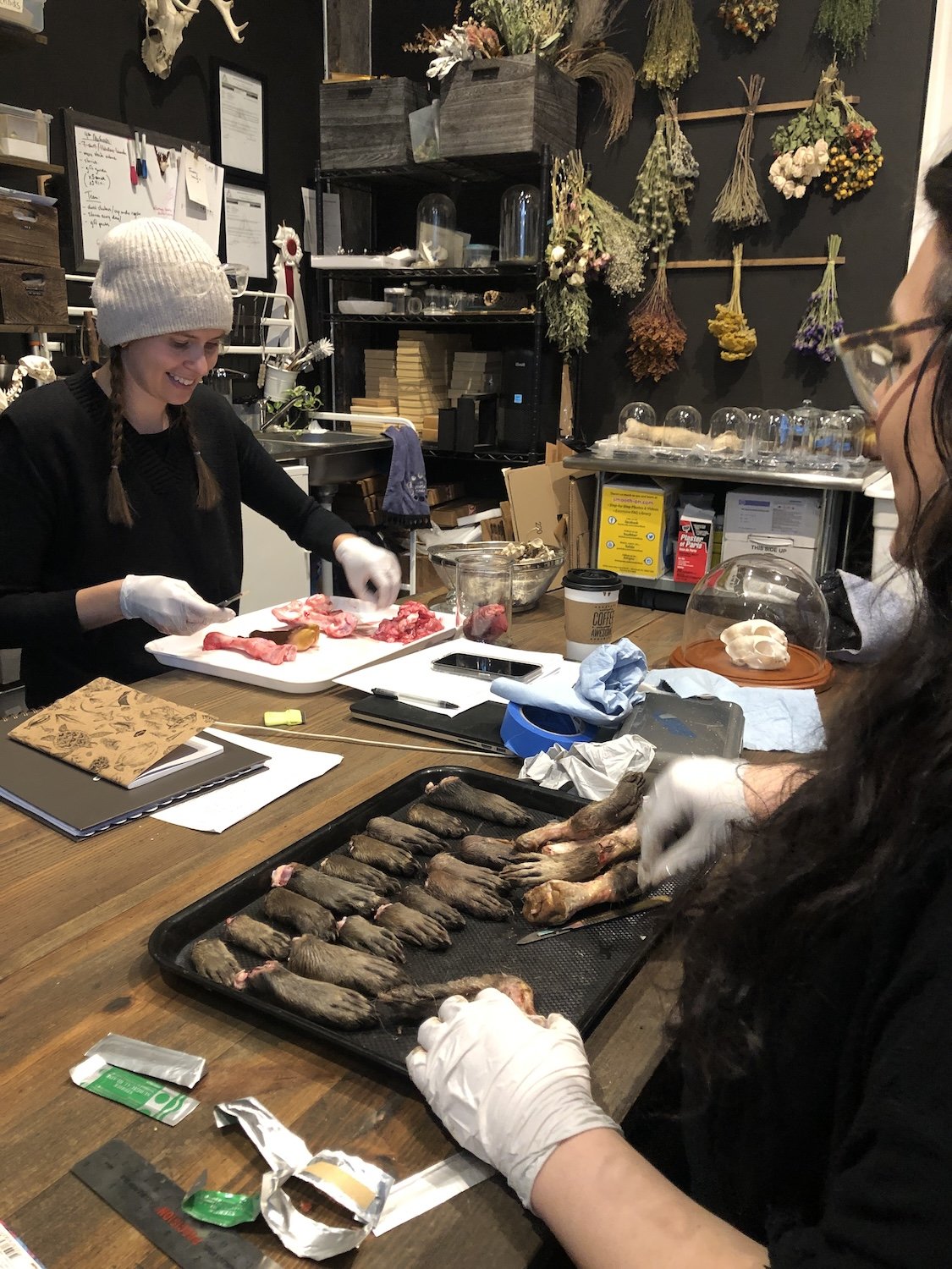 Alessandra and Melissa working in the studio.