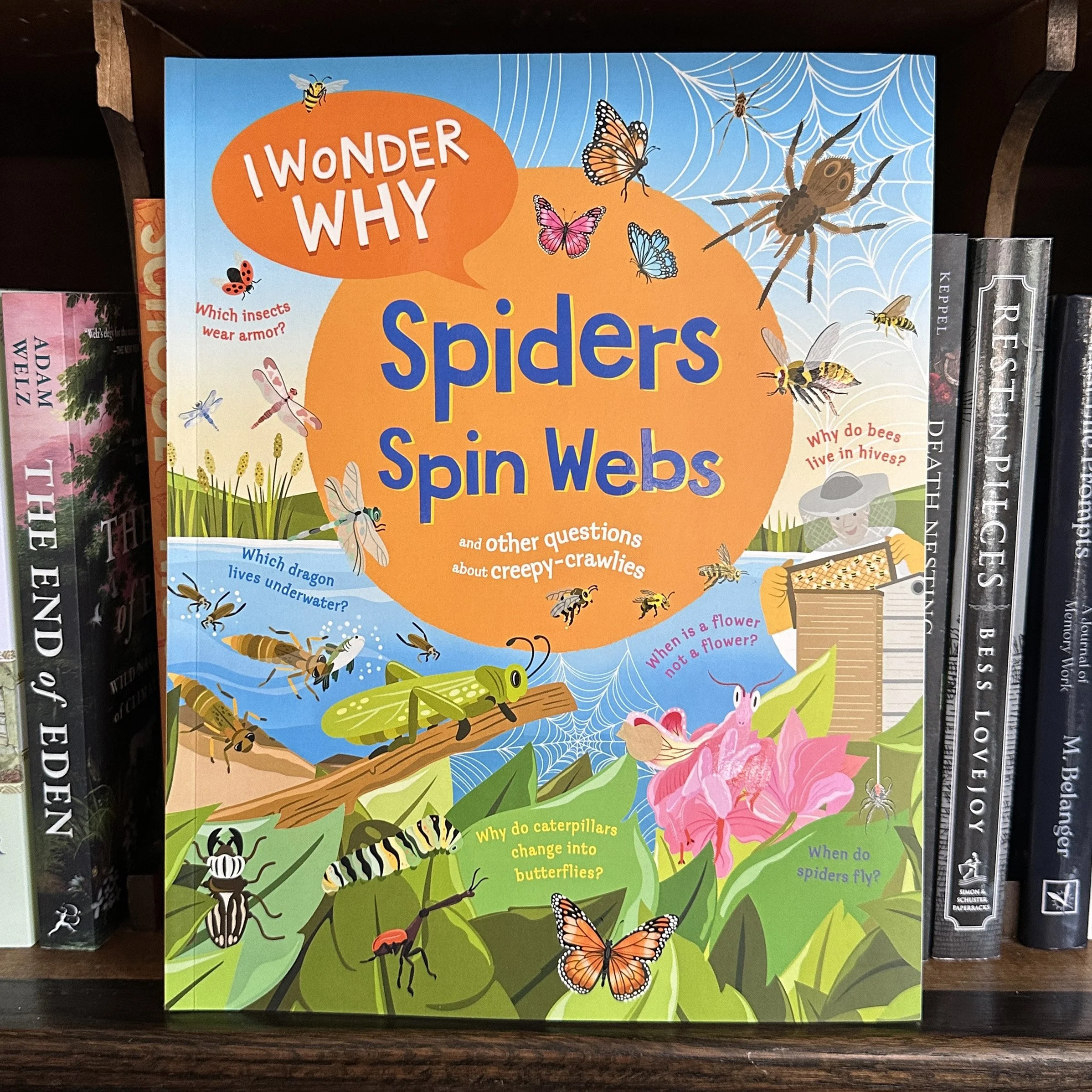 SpidersSpinningBook.jpg