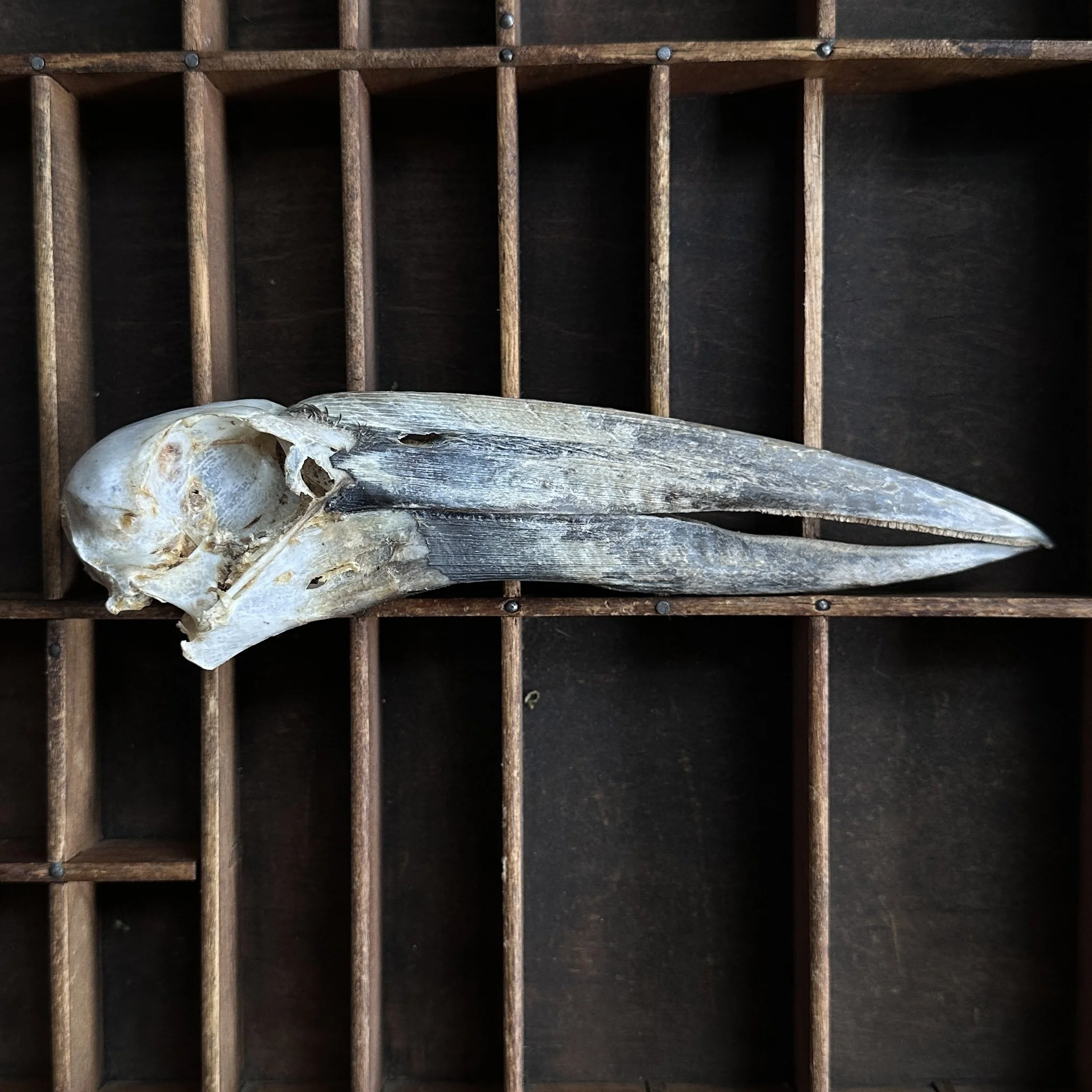 OpenbillStork.jpg