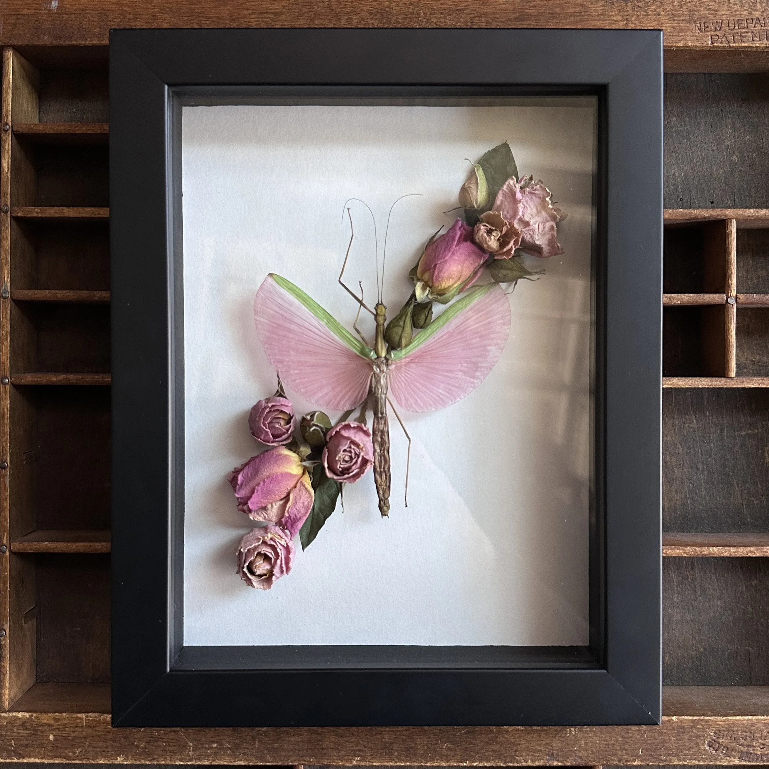 StickBugFloral2.jpg