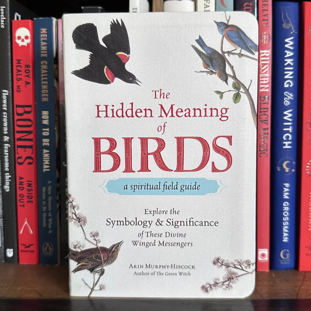 MagicofBirds.jpg