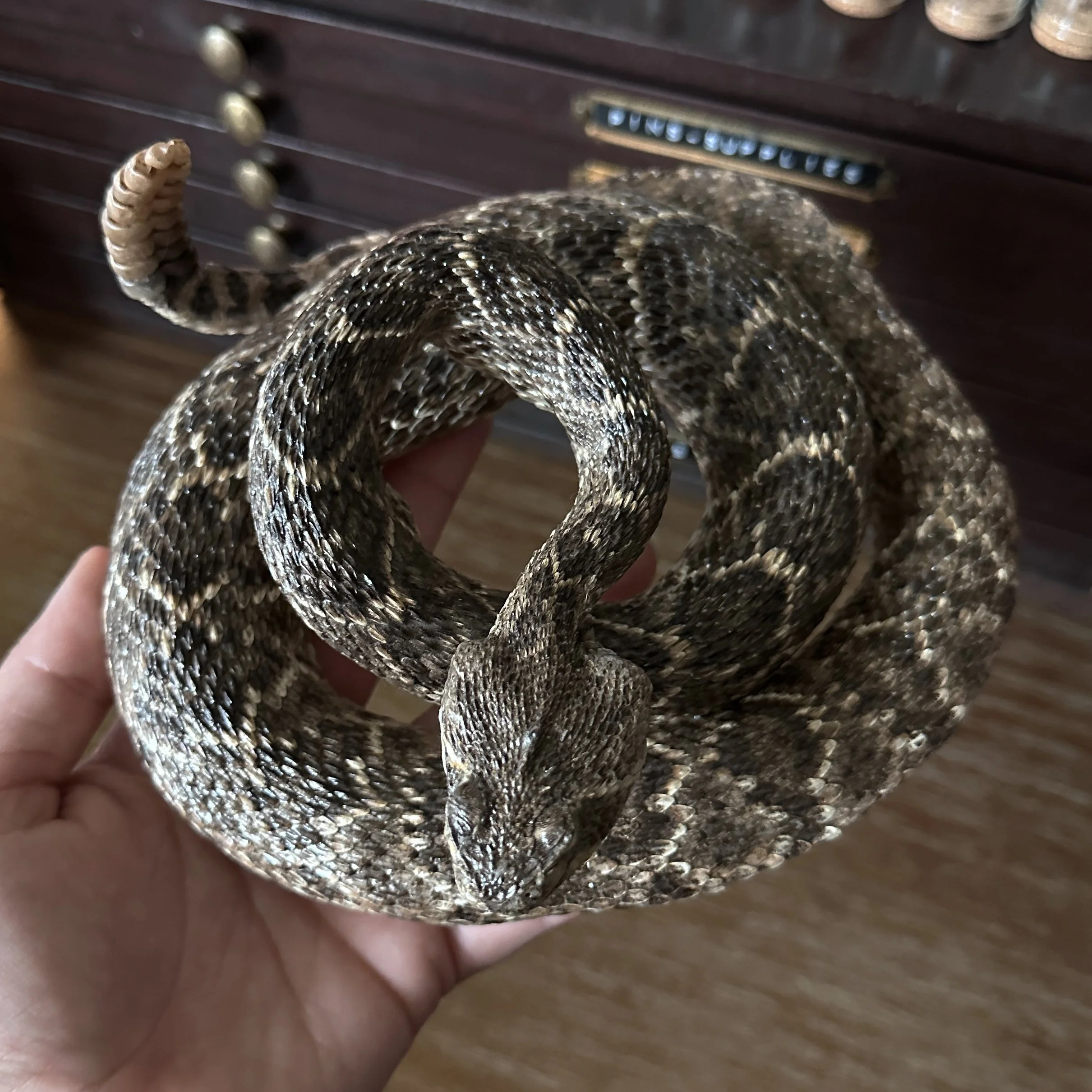 Rattlesnake2.jpg