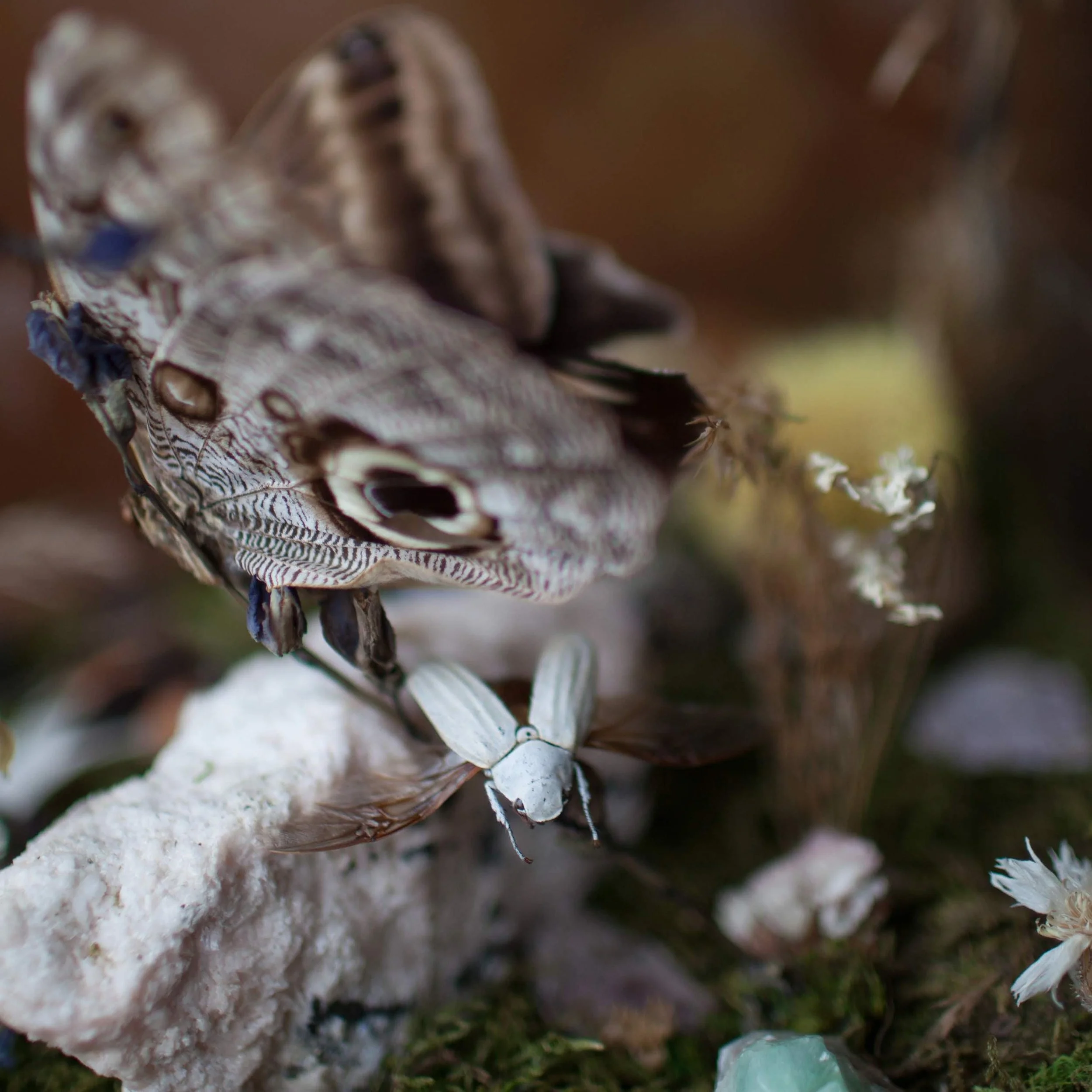 IMG_20191201_104438_153 (1).jpg