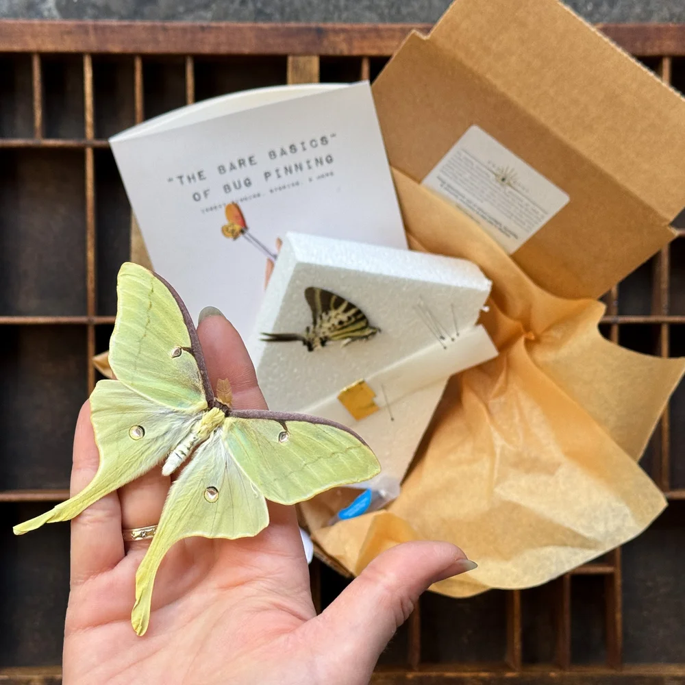 Bug Club — Oracle Natural Science