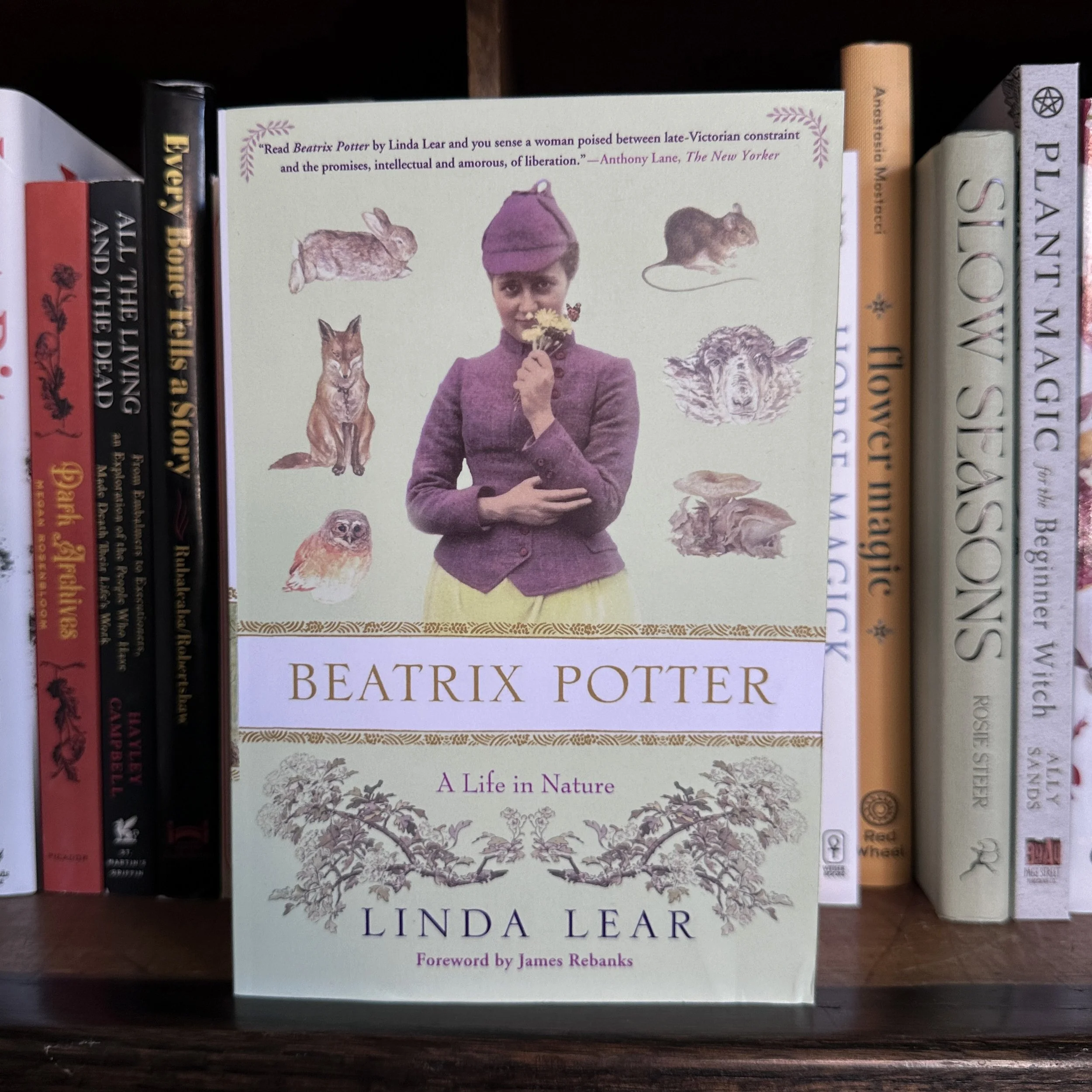 BeatrixPOtterBook.jpg