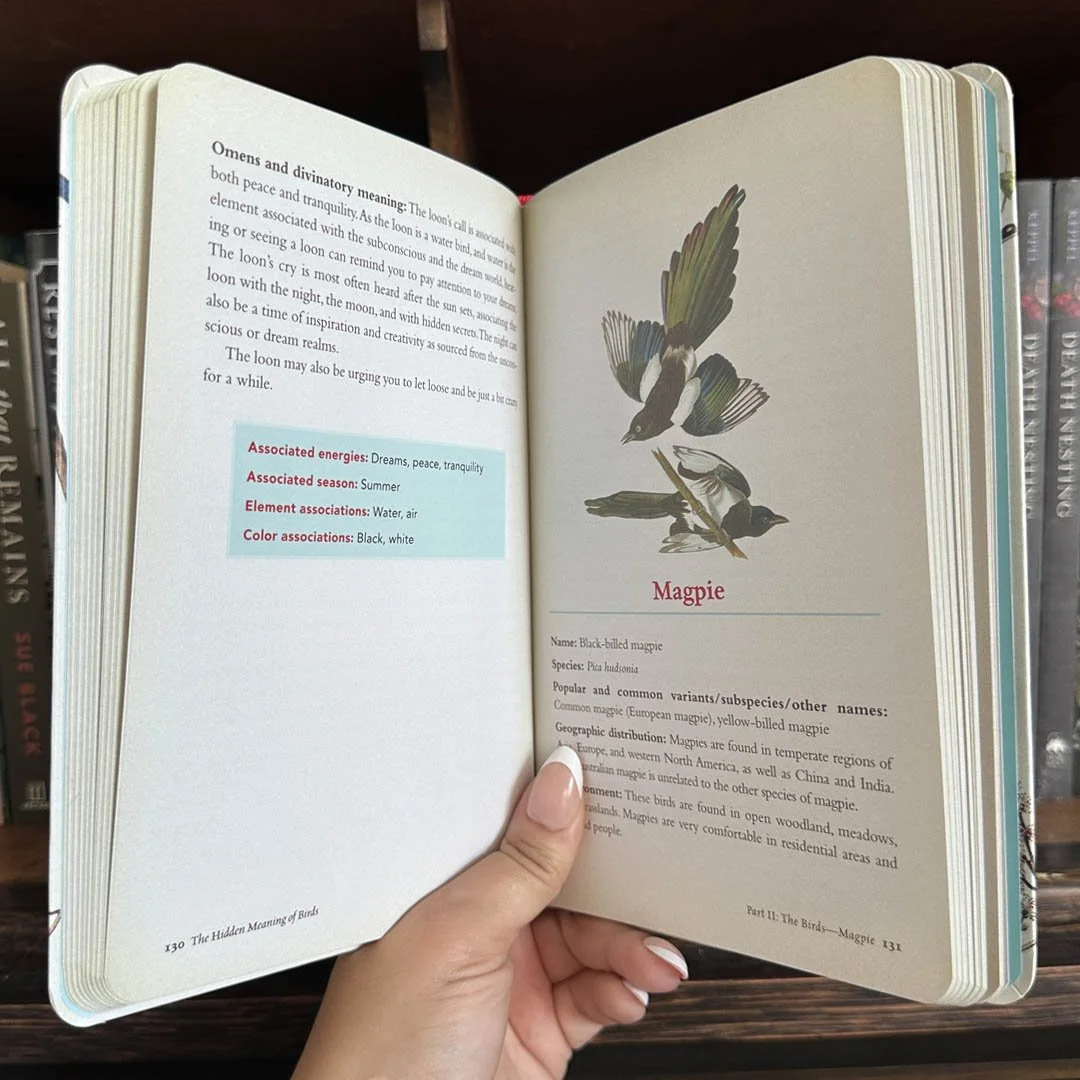 MagicofBirds2.jpg