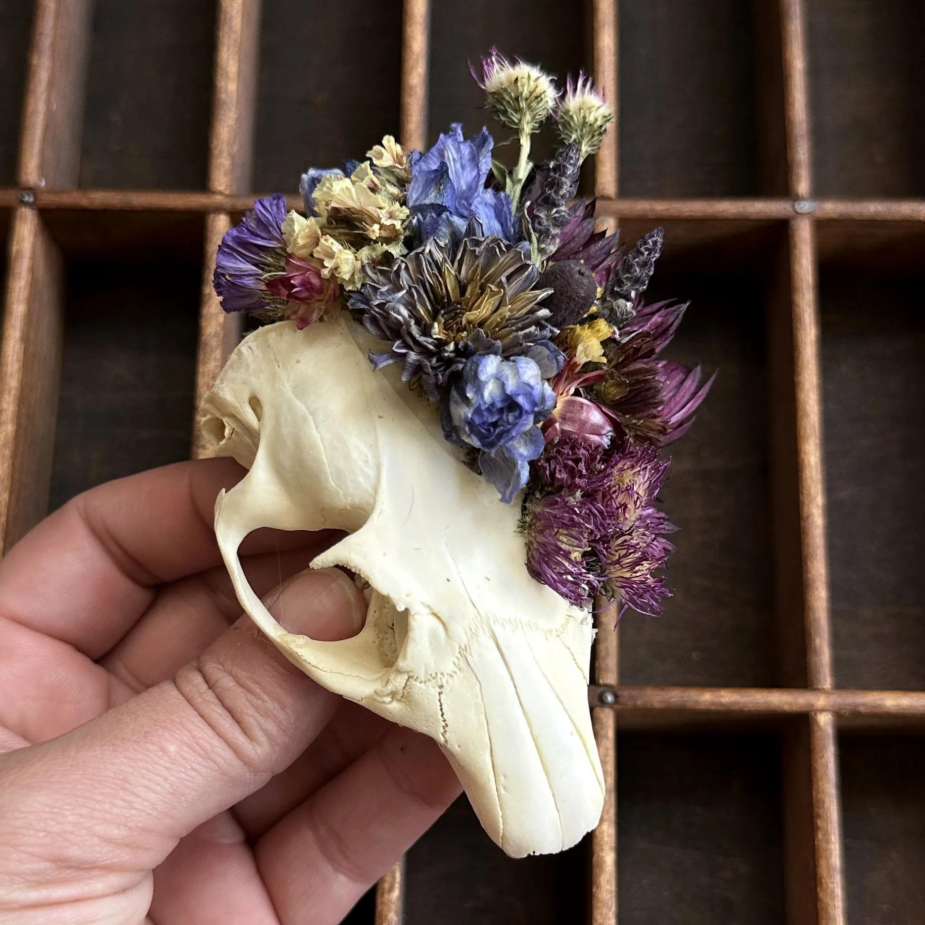 WoodchuckAdorned.jpg