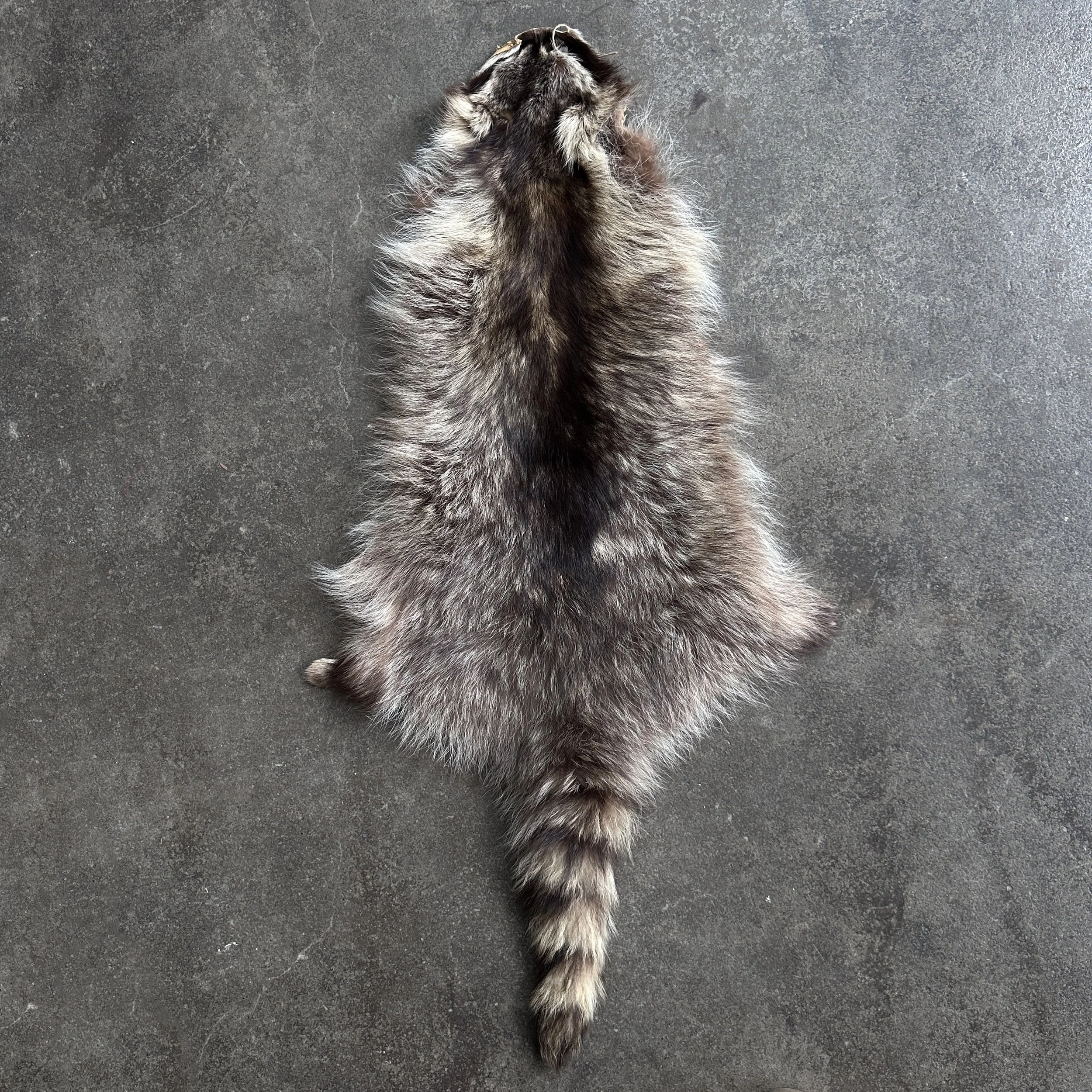 RaccoonPeltNoFeet.jpg