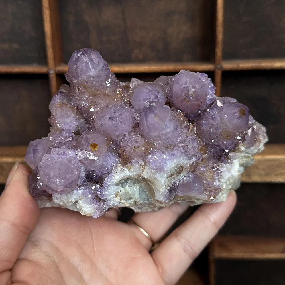 Cactus Amethyst  Oracle Natural Science