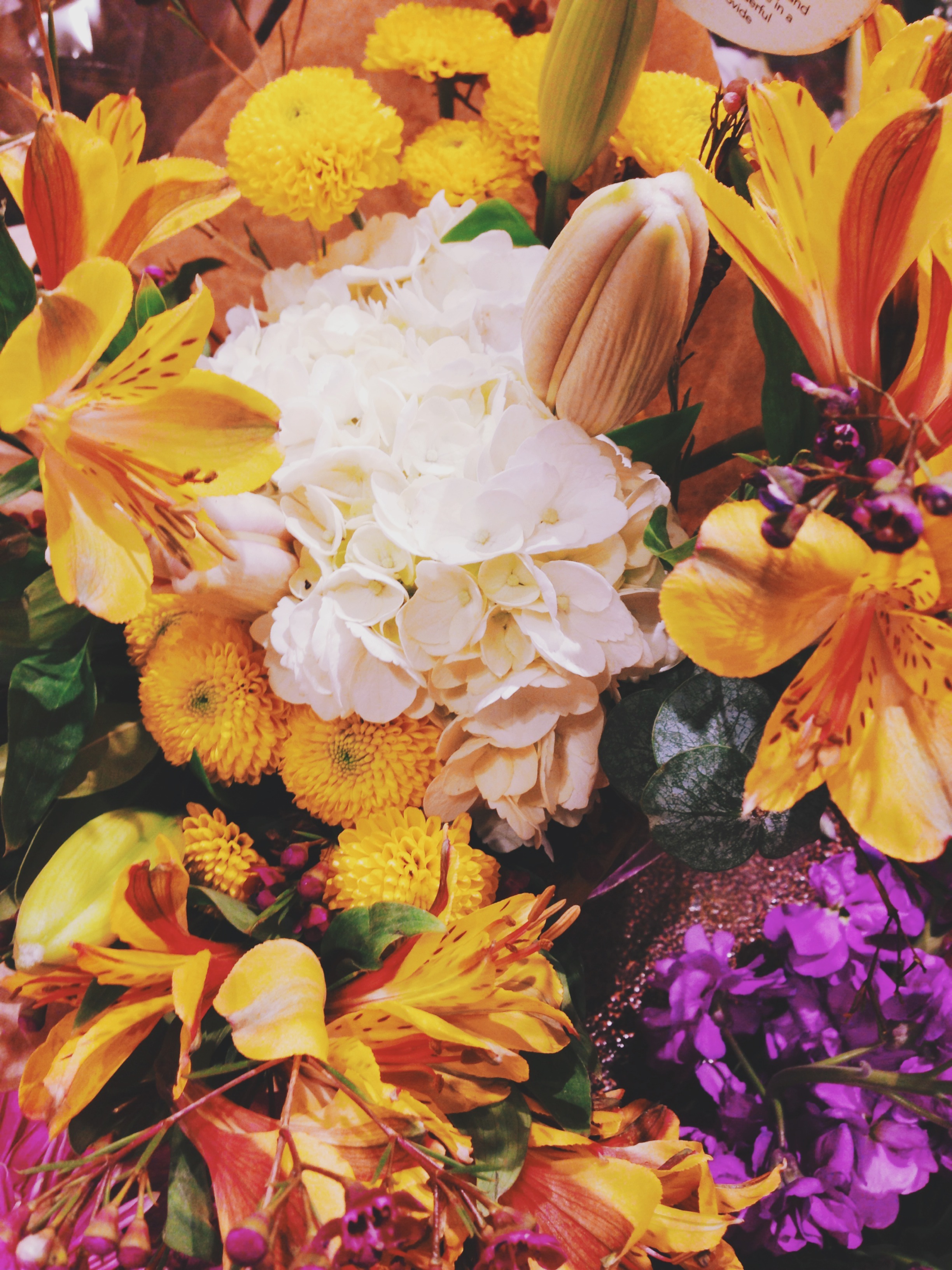 Fresh Market // Lynchburg, VA